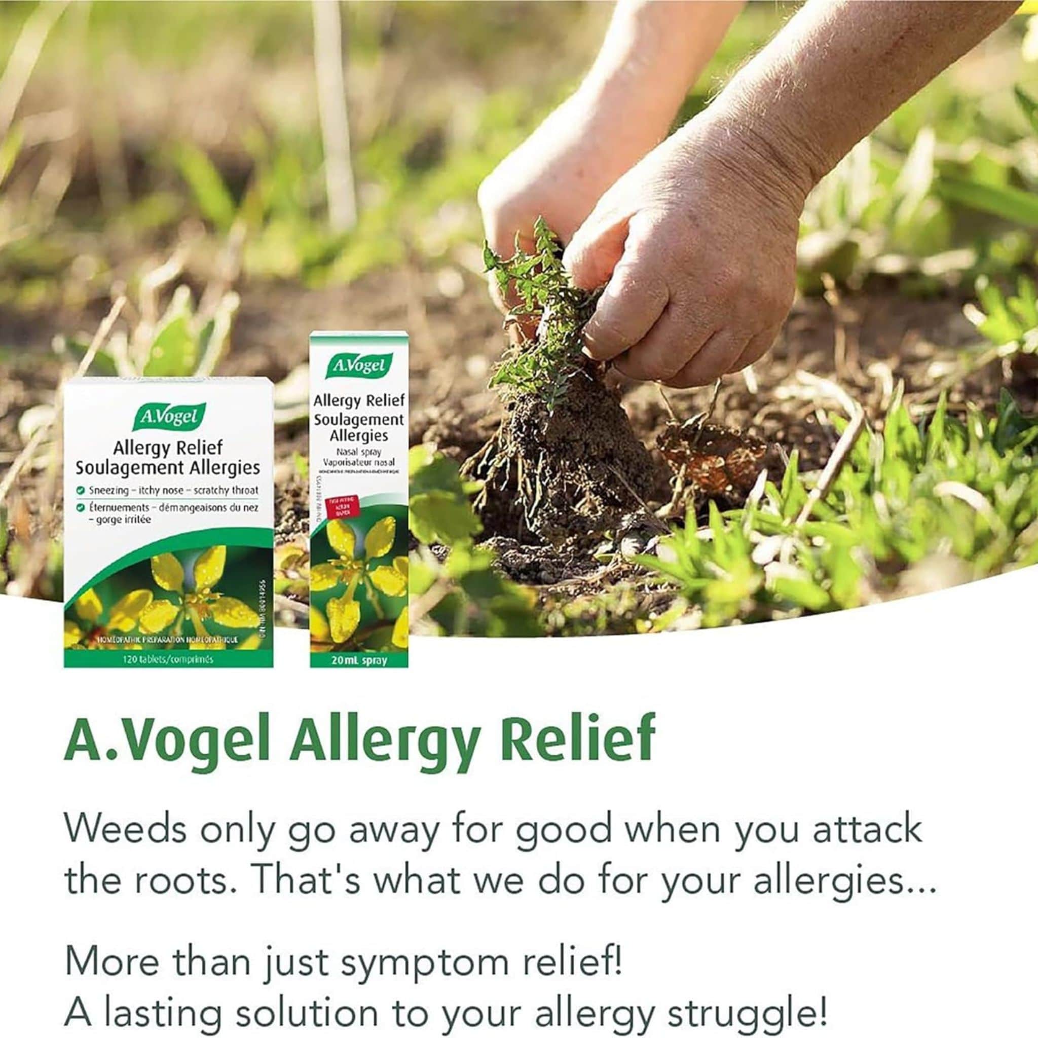 A. Vogel Allergy Relief Tablets, 120 Tablets - Image 5