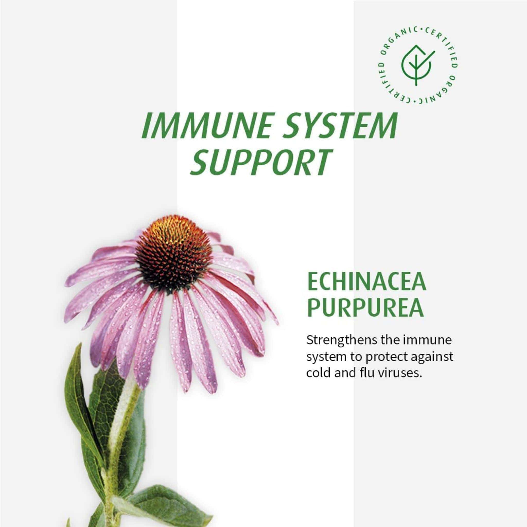 A. Vogel Echinaforce Junior Echinacea, Cold and Flu Prevention and Treatment for Kids, Chewable/Dissolving Tablets - Image 7