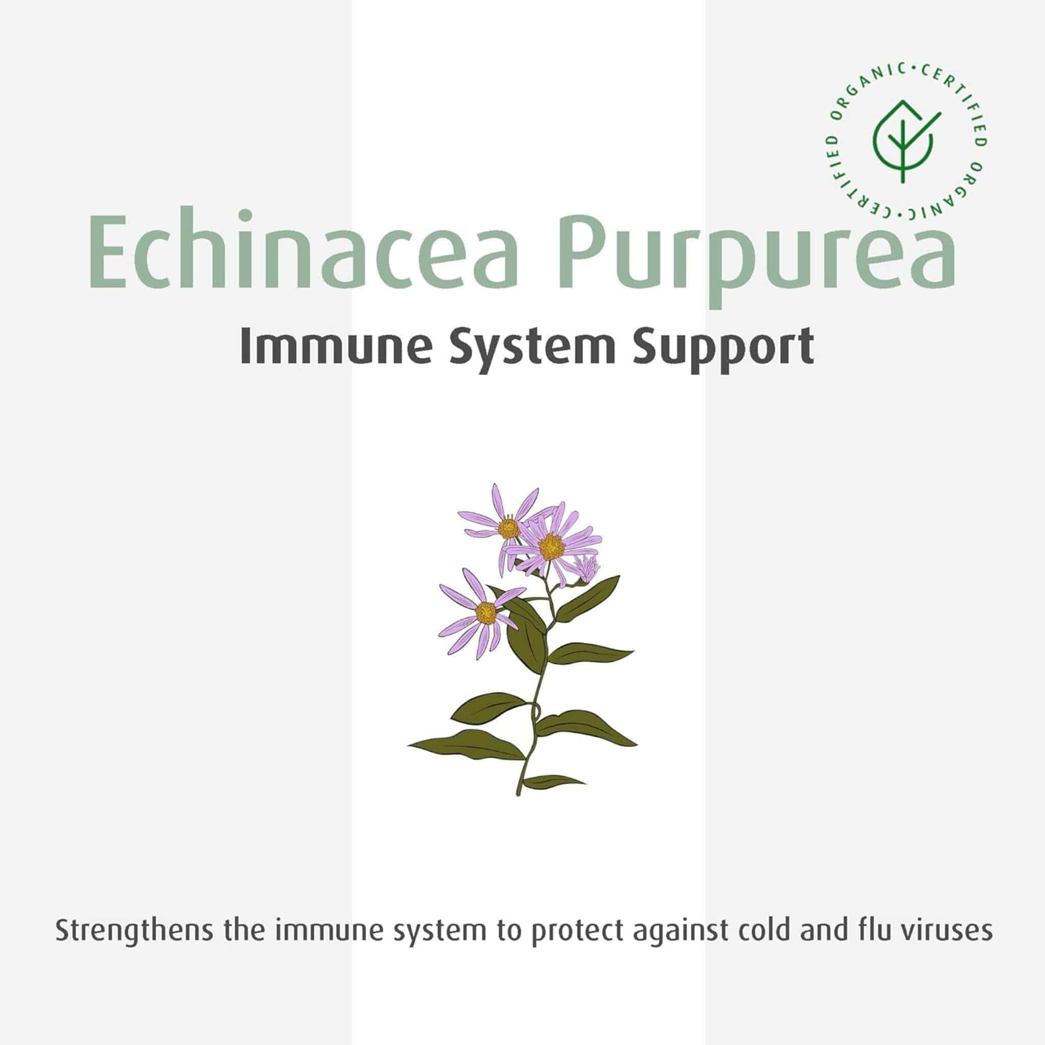 A. Vogel Echinaforce Tincture - Image 10