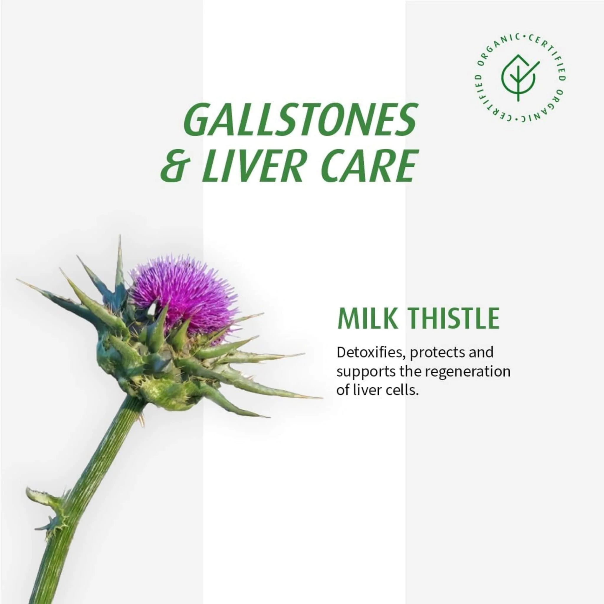 A. Vogel Milk Thistle, 50ml - Image 7