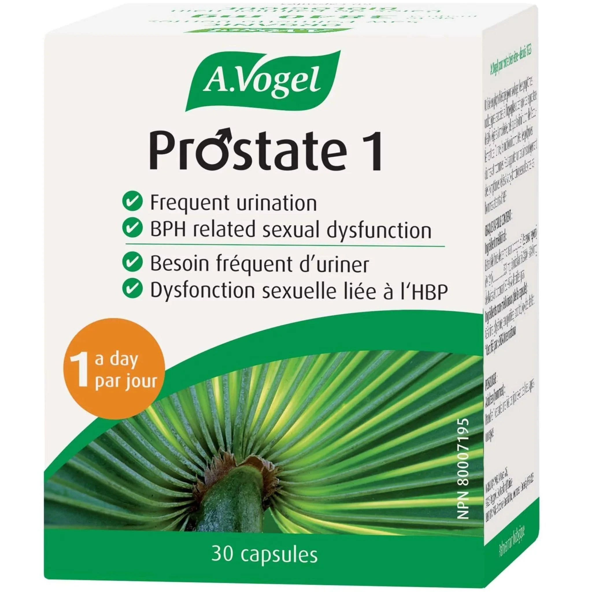 A. Vogel Prostate 1