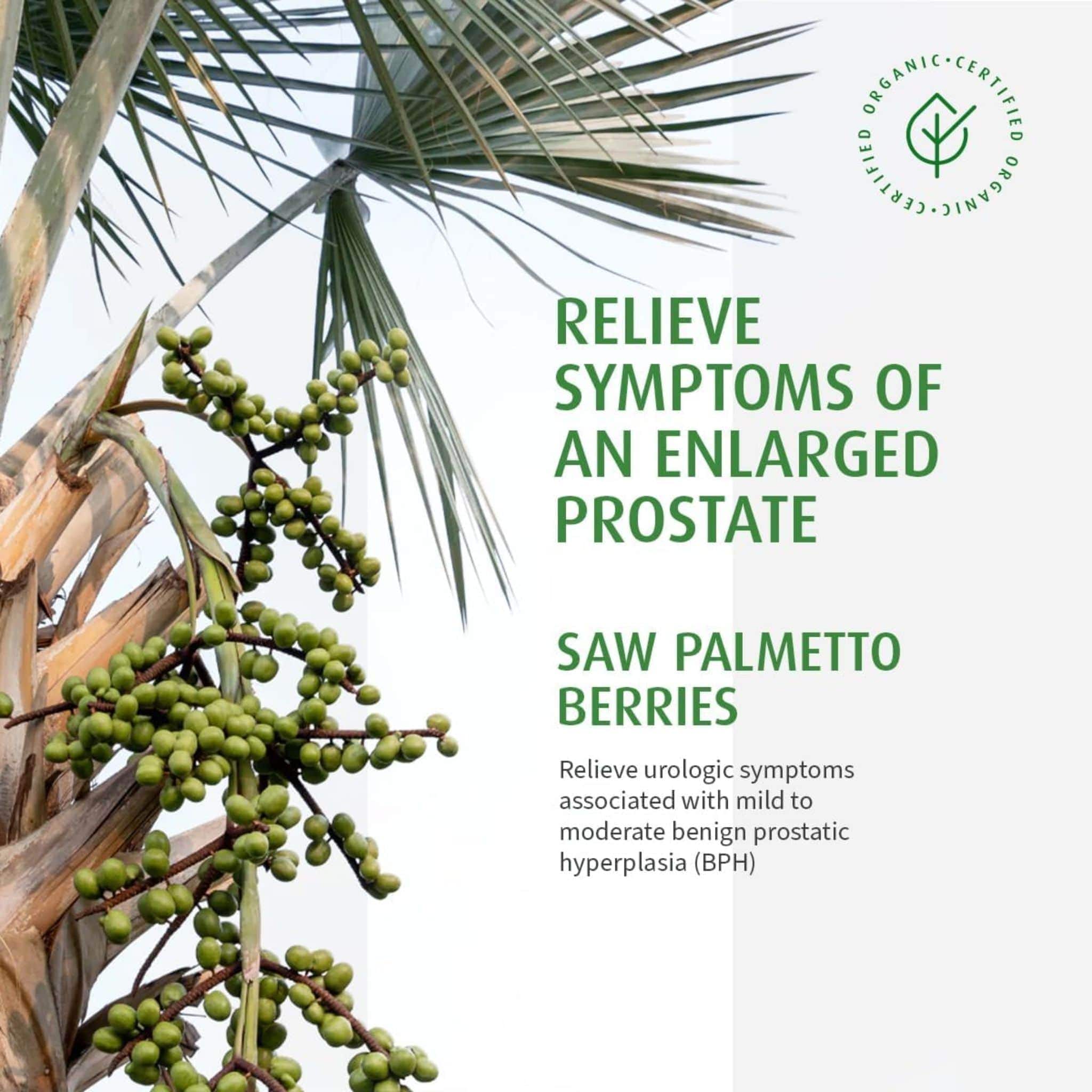 A. Vogel Prostate 1 - Image 12