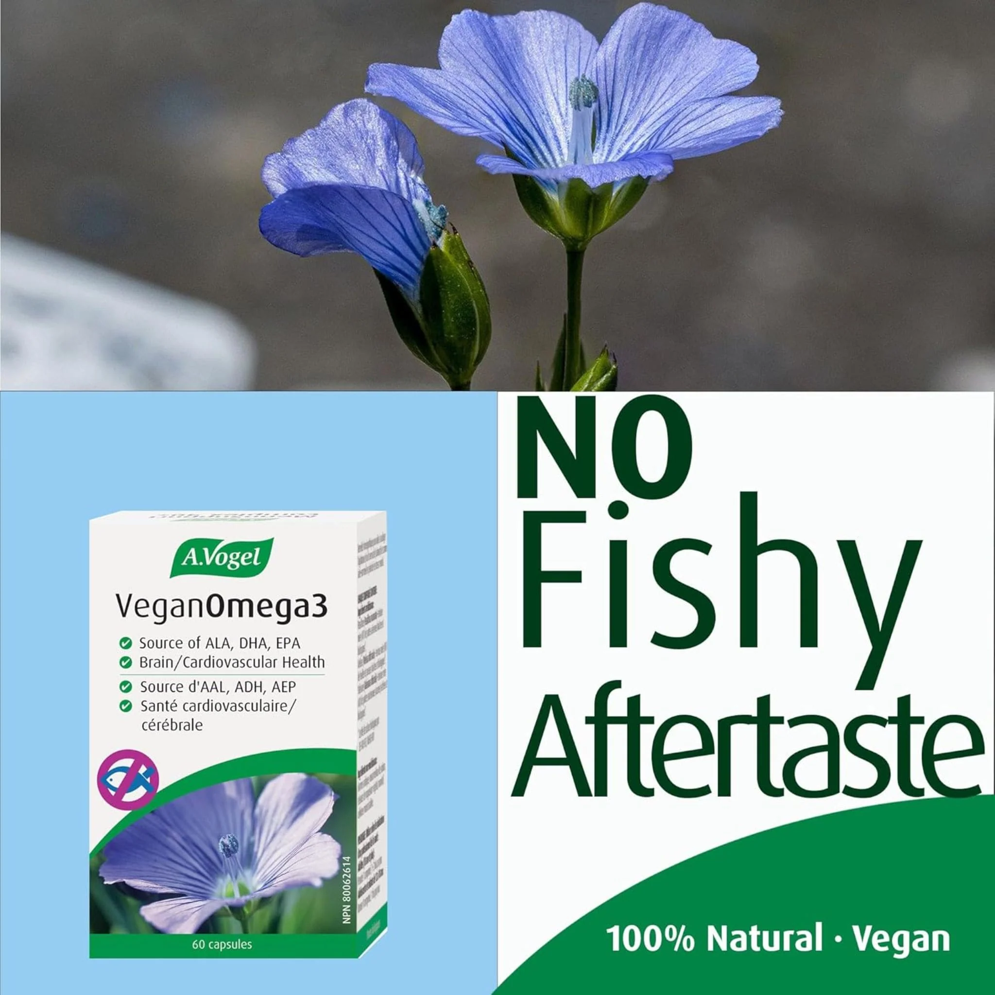A. Vogel Vegan Omega-3, 60 Capsules - Image 5