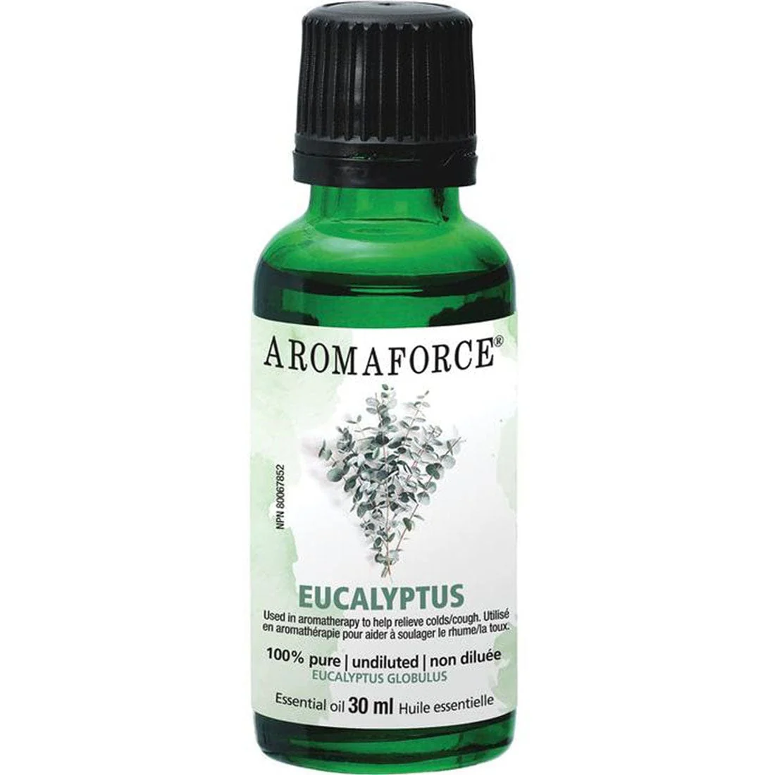 Aromaforce Eucalyptus Essential Oil - Image 3