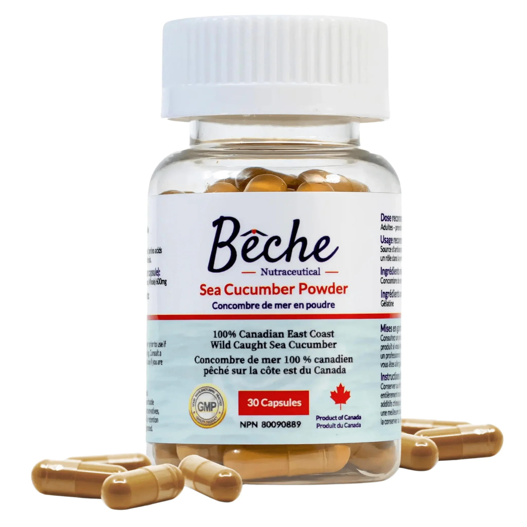 Beche Sea Cucumber Powder,  100% Canadian East Coast Wild-Caught, Supports Immunity and Joint Health, 30 Capsules