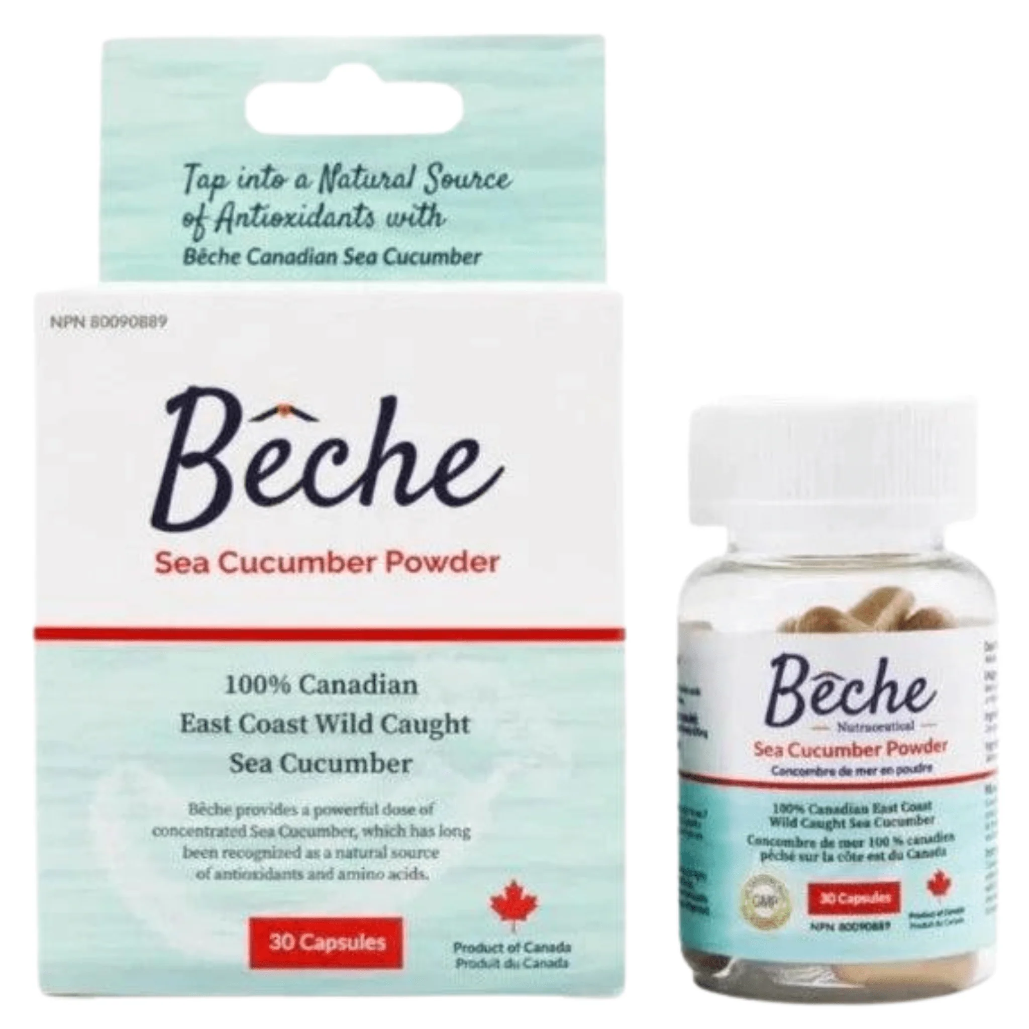 Beche Sea Cucumber Powder,  100% Canadian East Coast Wild-Caught, Supports Immunity and Joint Health, 30 Capsules - Image 2