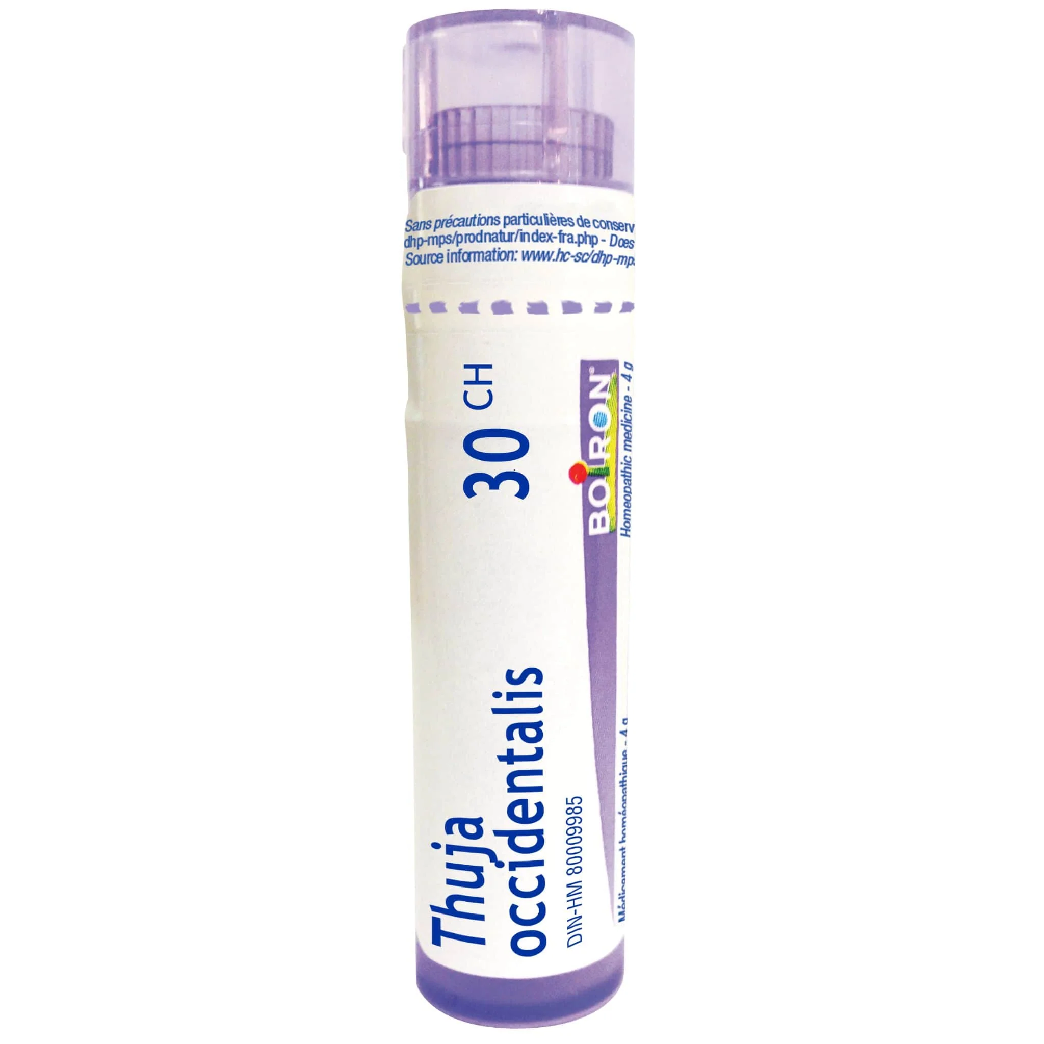 Boiron Thuya Occidentalis, 80 Pellets - Image 3