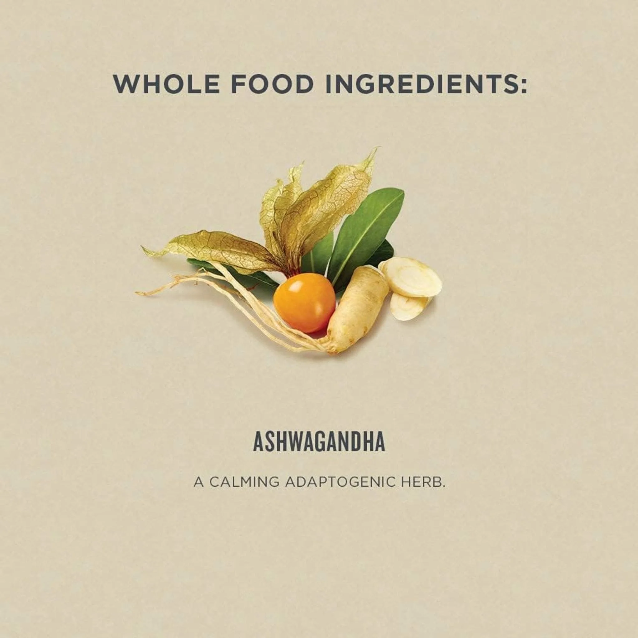 Botanica Ashwagandha Liquid Herb (Stress Support), 50ml - Image 4