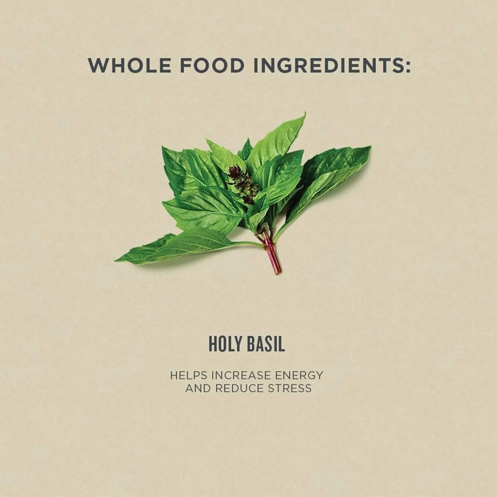 Botanica Holy Basil, 50ml - Image 4