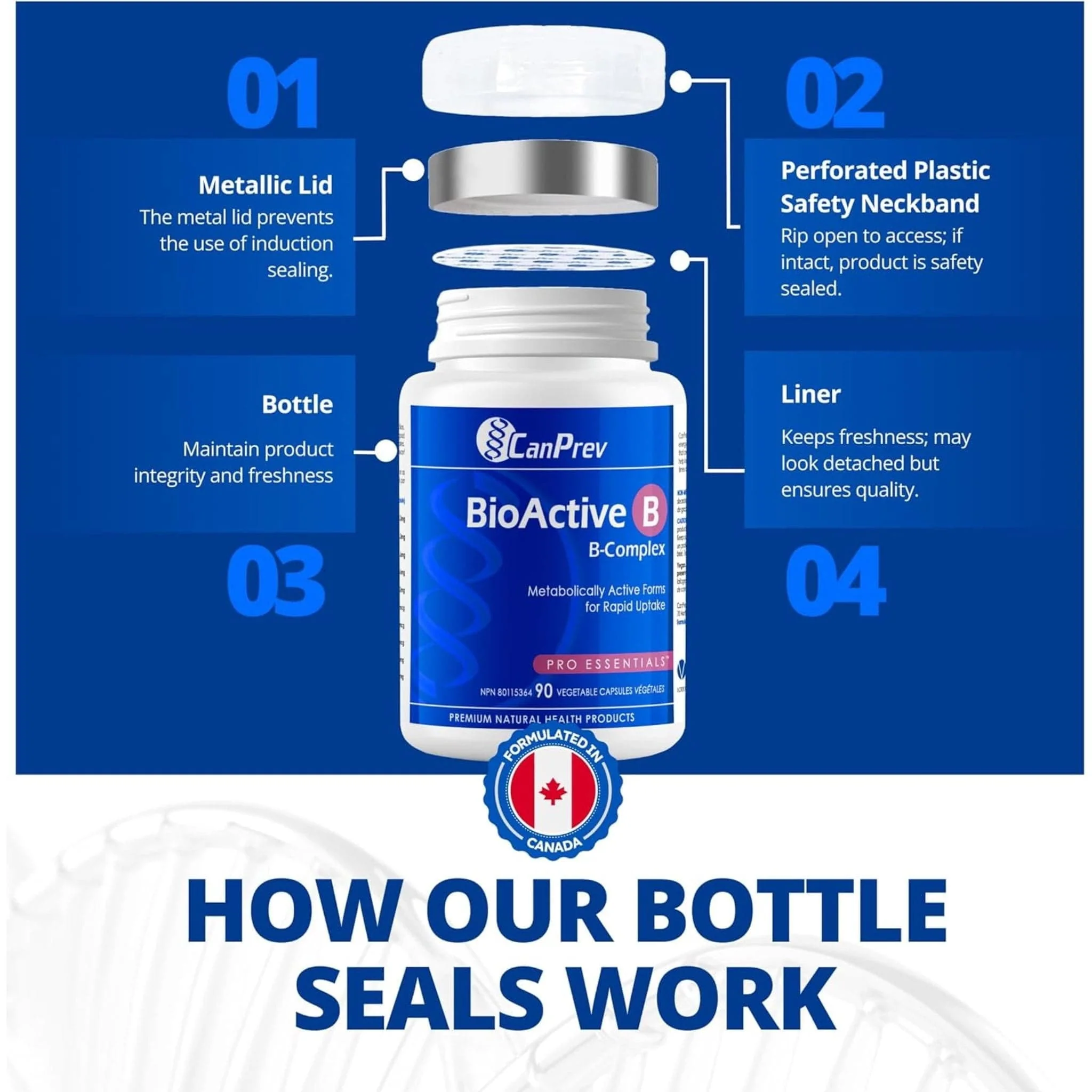 CanPrev BioActive B Complex Capsules - Image 10