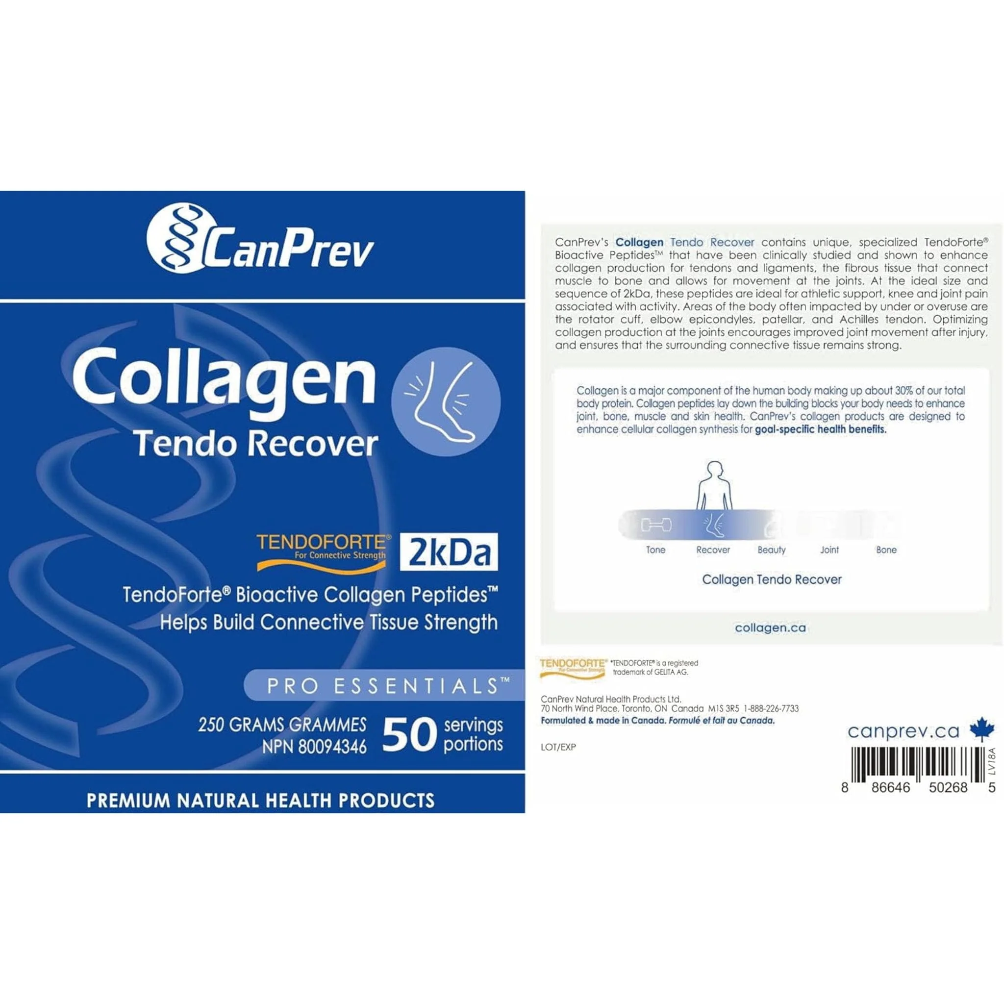 CanPrev Collagen Tendo Recover Powder, 250g - Image 4