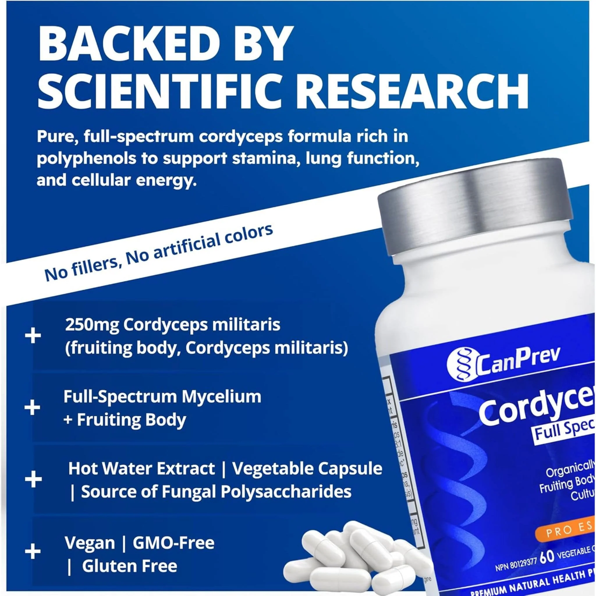 CanPrev	Cordyceps Full Spectrum, Natural Energy Booster, Exercise Performance and Immune Support, 60 Vegetable Capsules - Image 9