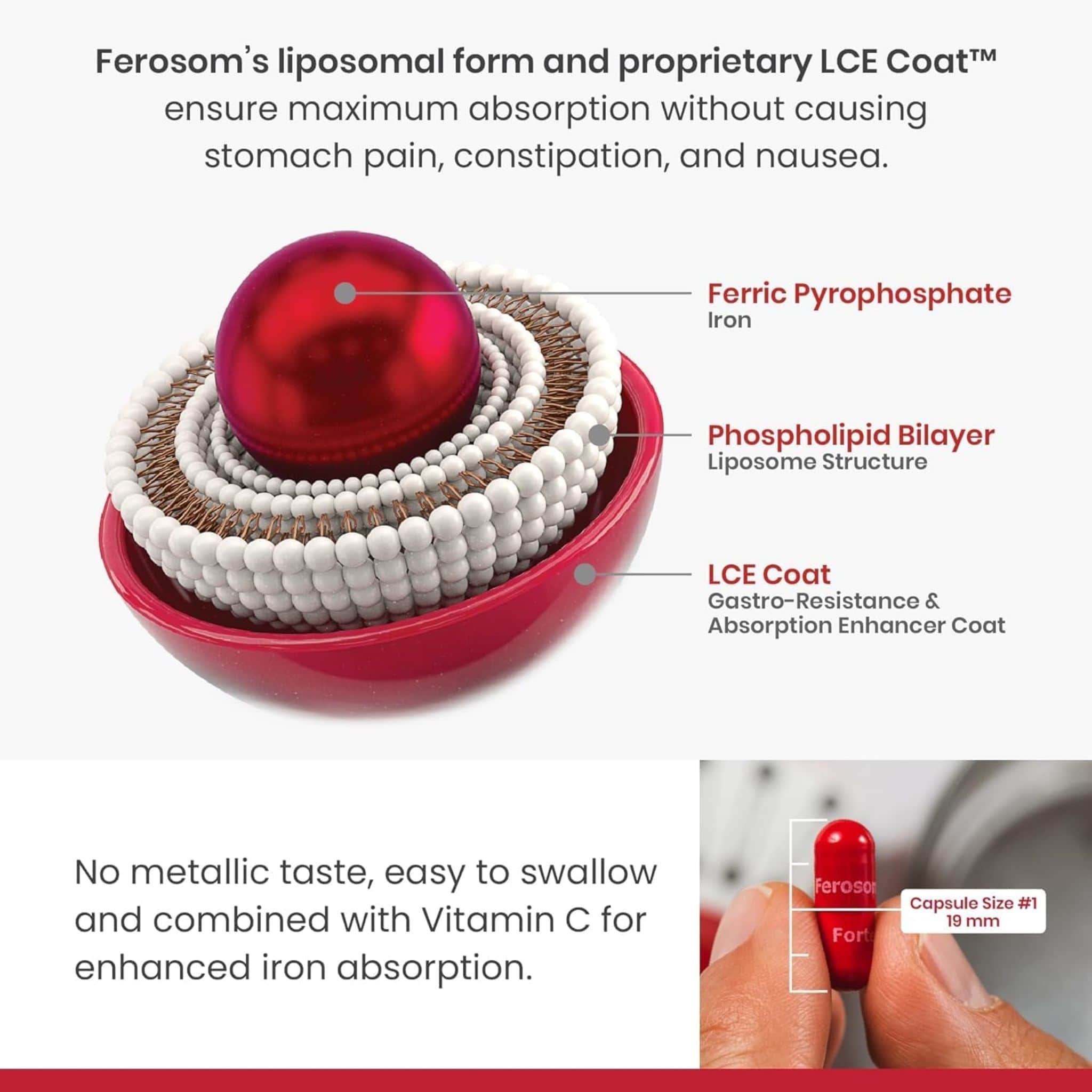 Ferosom Forte LCE Liposomal Iron Supplement, 30mg Iron Plus Vitamin C, 20 Capsules - Image 5