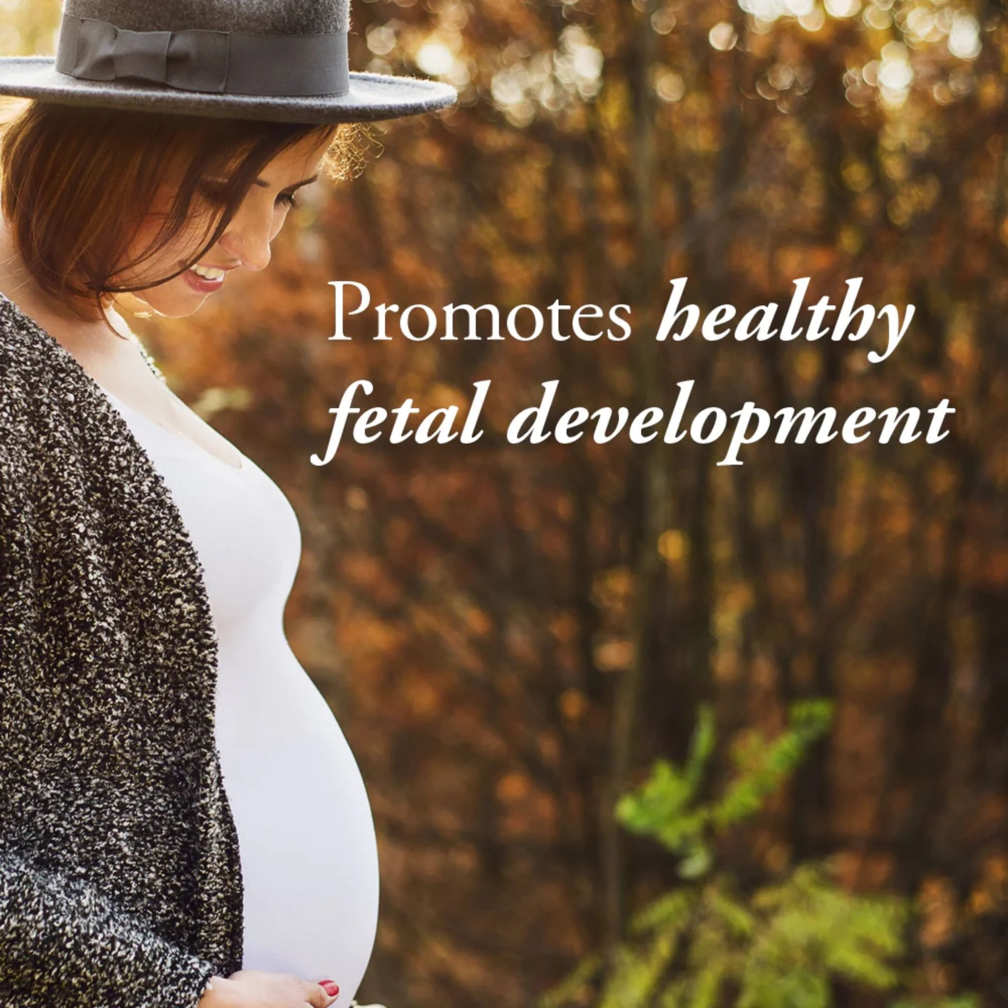 Garden of Life Organics Prenatal Once Daily, Multivitamin, 30 Vegan Tablets - Image 5
