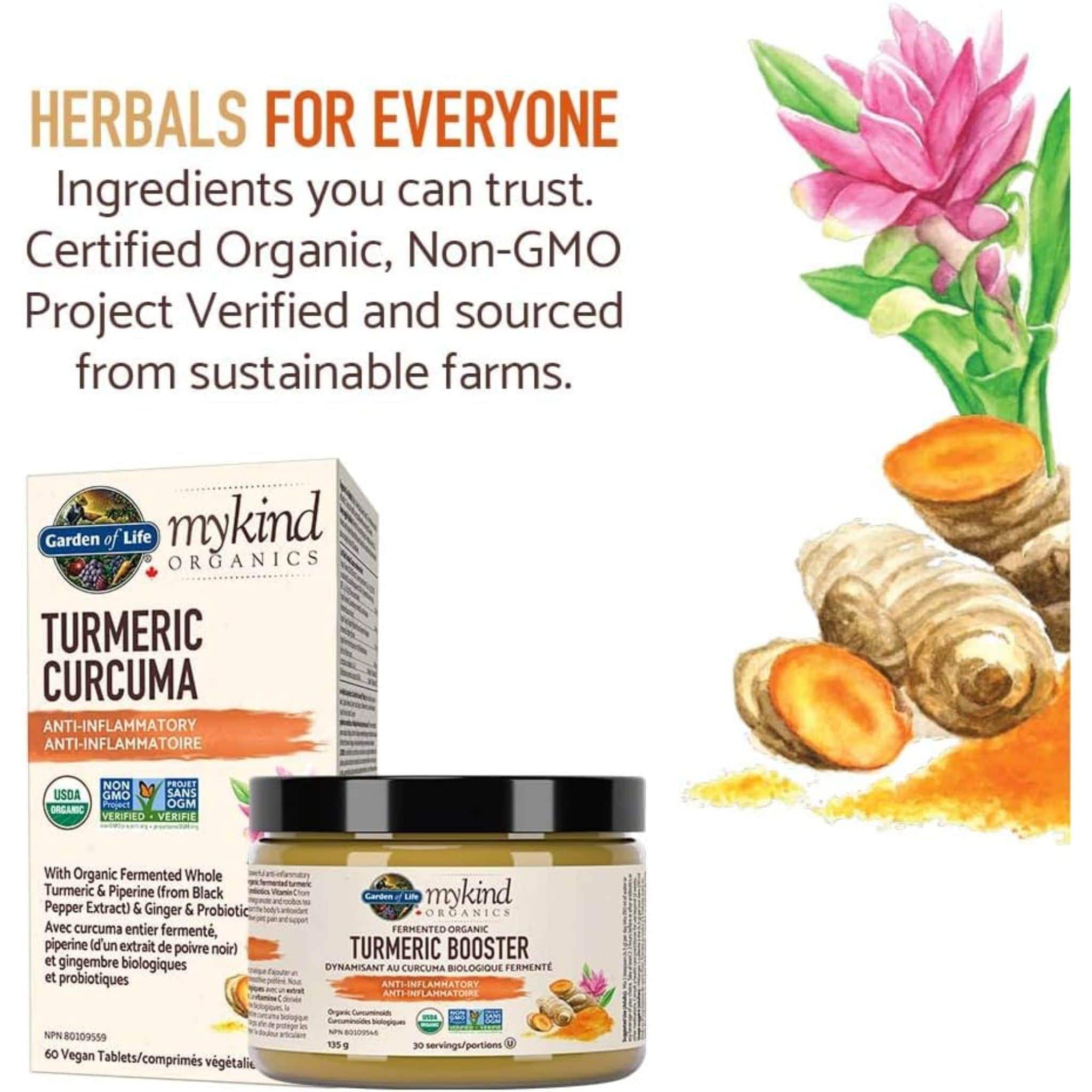 Garden of Life Organics Turmeric Boost Powder, 135g - Image 3