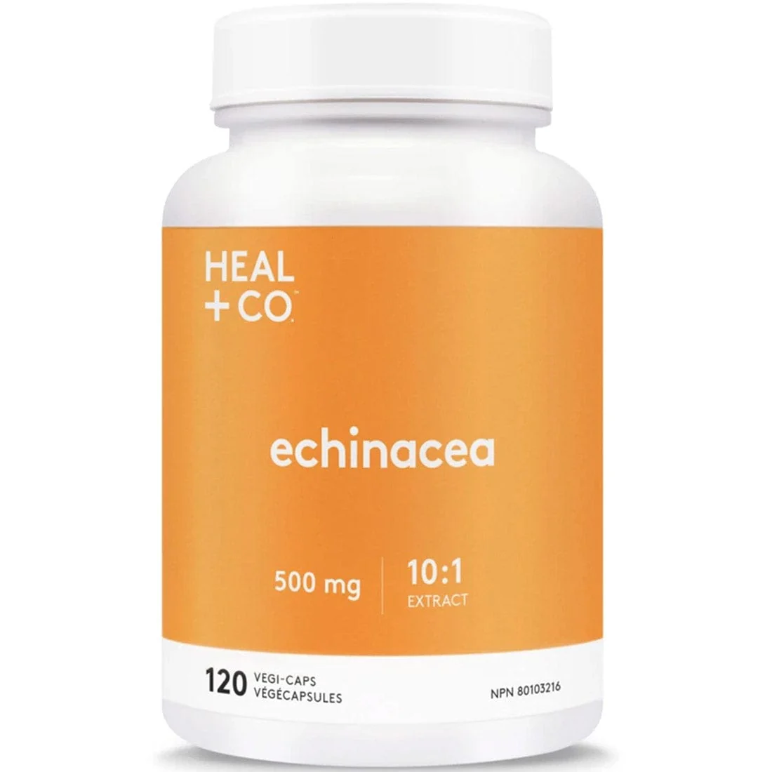 Heal+ Co. Echinacea 500mg 10:1, 120 Capsules - Image 2