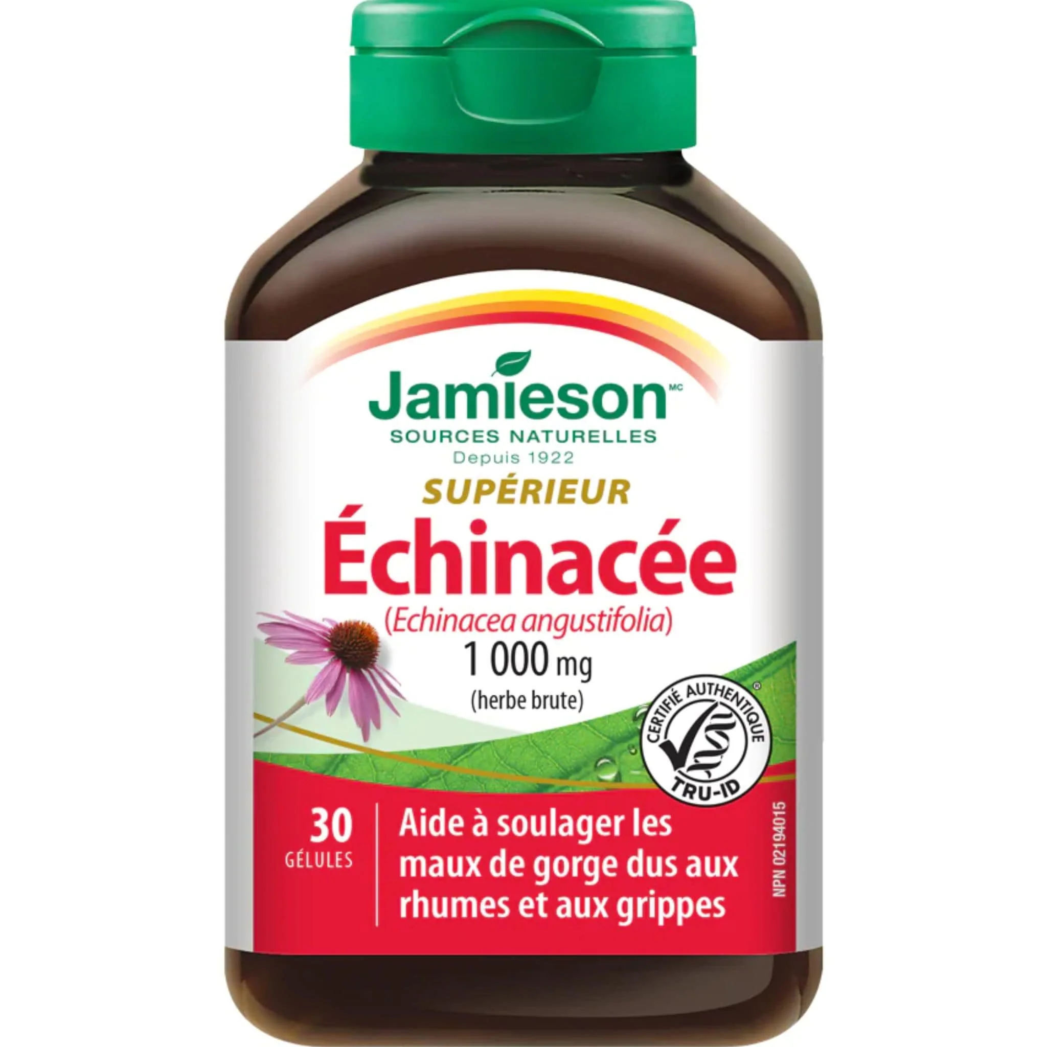 Jamieson Echinacea 1000mg, 30 softgels - Image 2