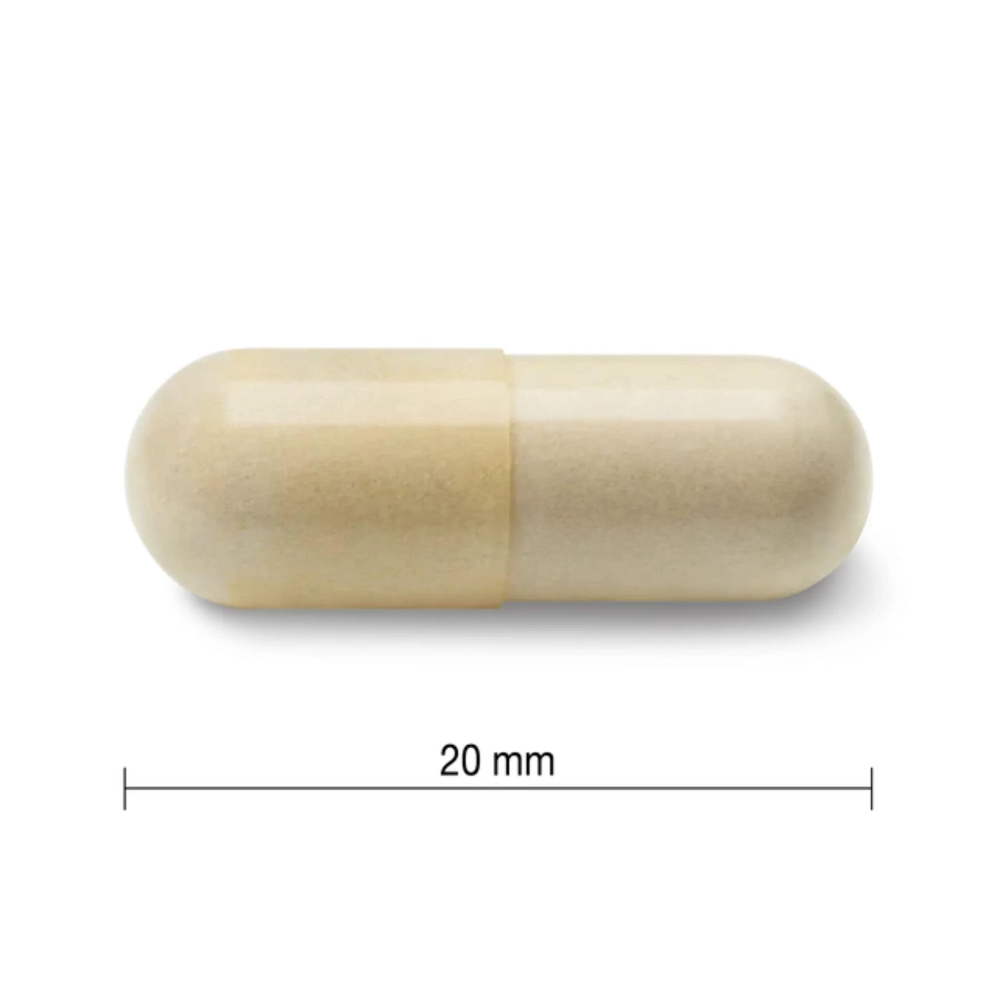 Jamieson Glucosamine 500mg, 360 Capsules - Image 3