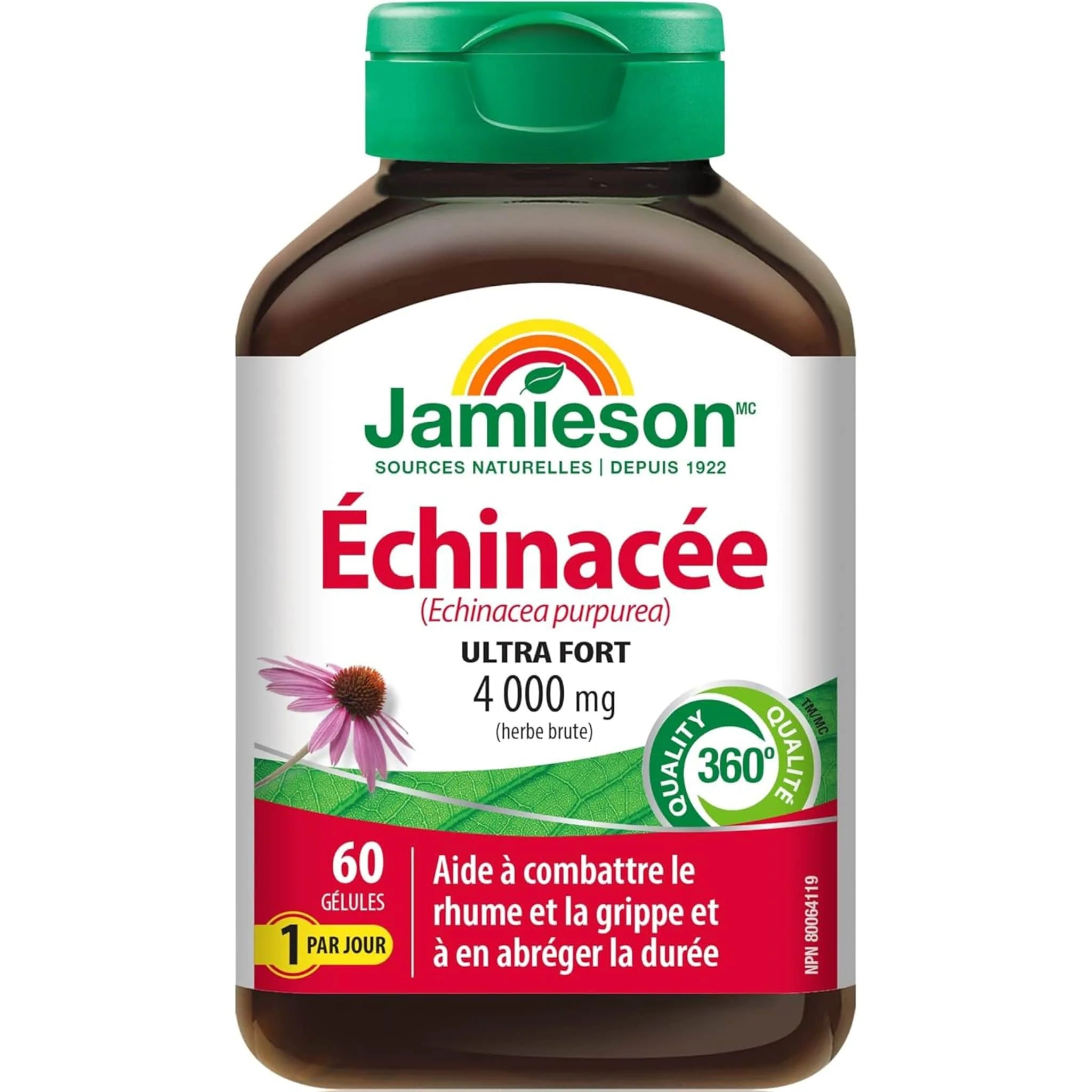 Jamieson Echinacea Ultra Strength 4000mg, 60 softgels - Image 2