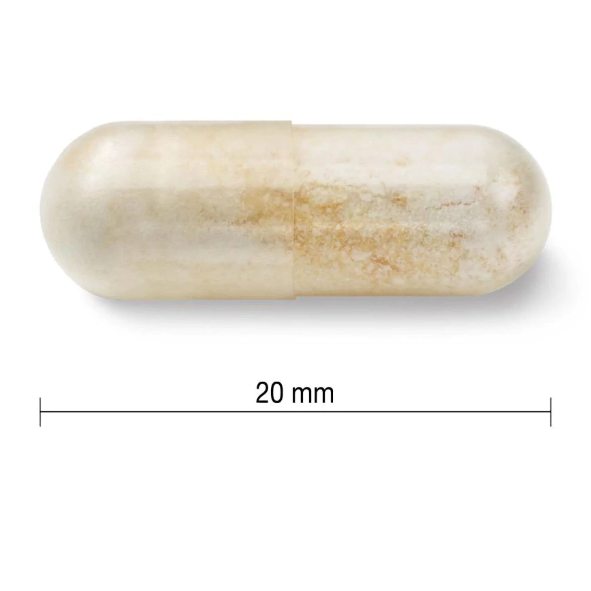 Jamieson Probiotic 30 Billion, 30 Vegetable Capsules (Refrigerated) - Image 3