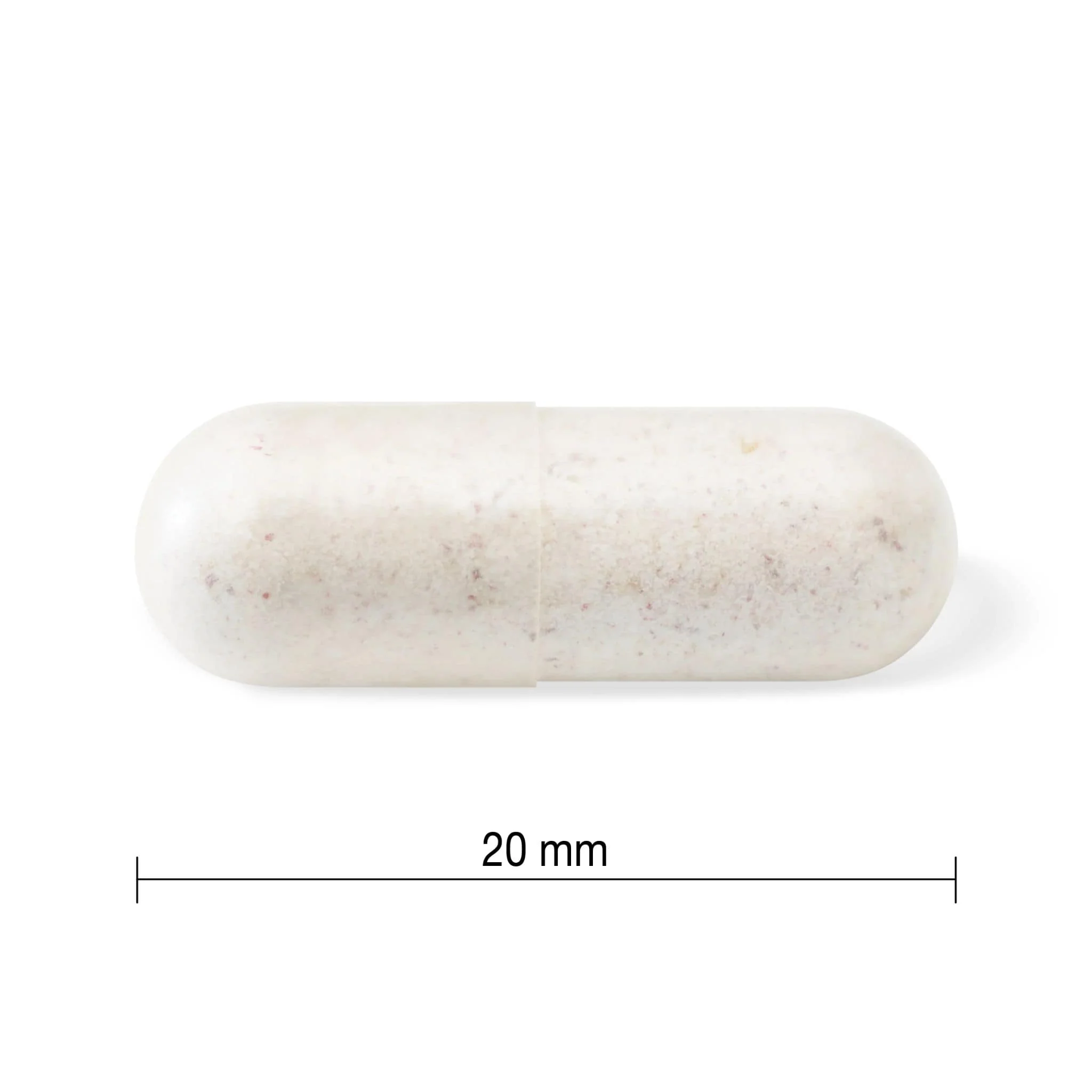 Jamieson Probiotic Adult 50+, 15 Billion, 30 Capsules - Image 7