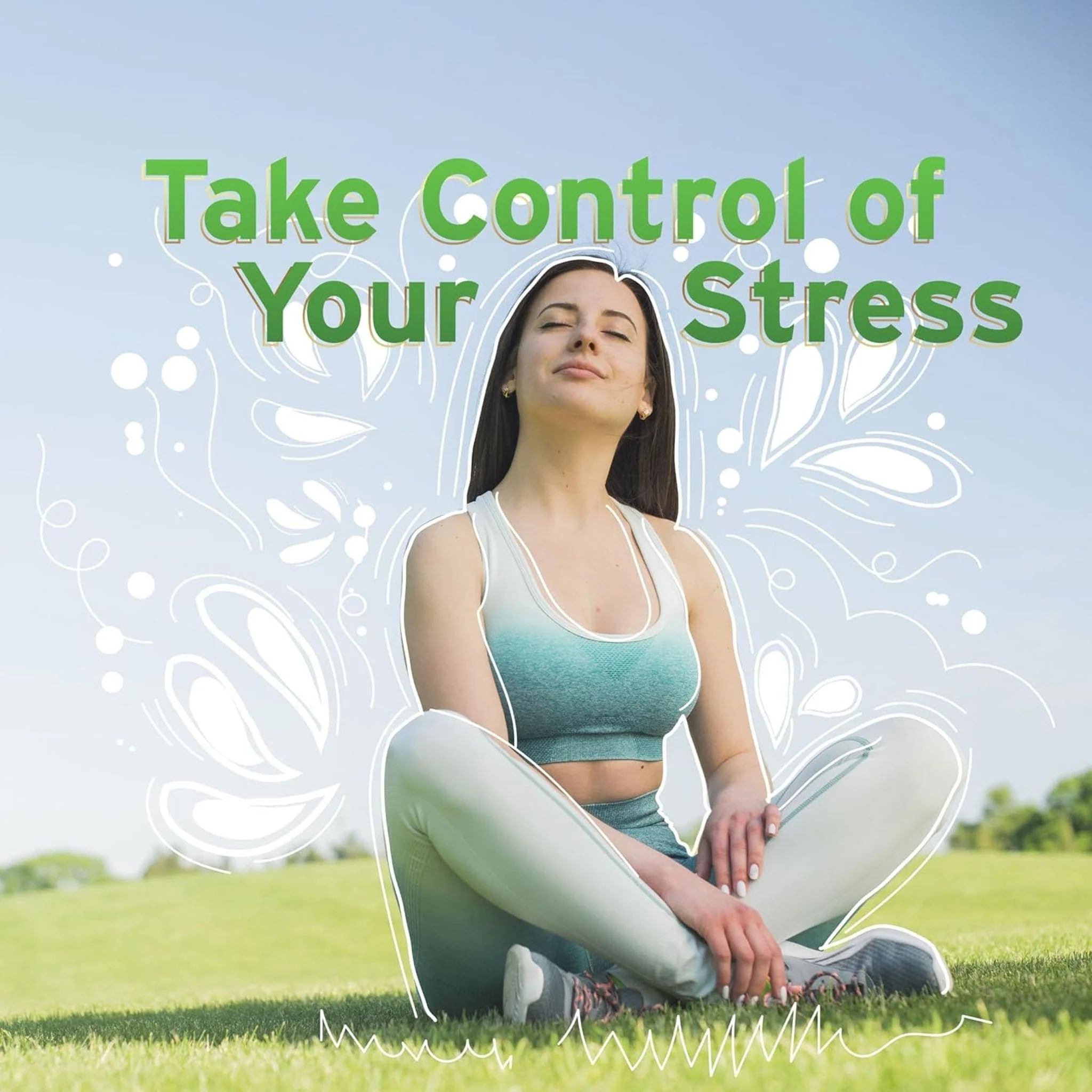 Leaf Source Stress Complex with Ashwagandha, Relieves Stress Symptoms, 60 Vegetable Capsules - Image 4