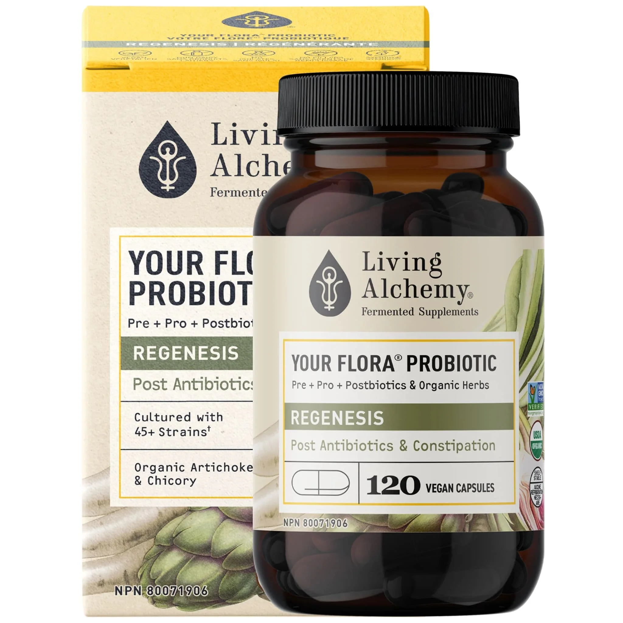 Living Alchemy Your Flora Regenesis, Rebuild gut flora after antibiotics, Slow/infrequent bowl movements - Image 3