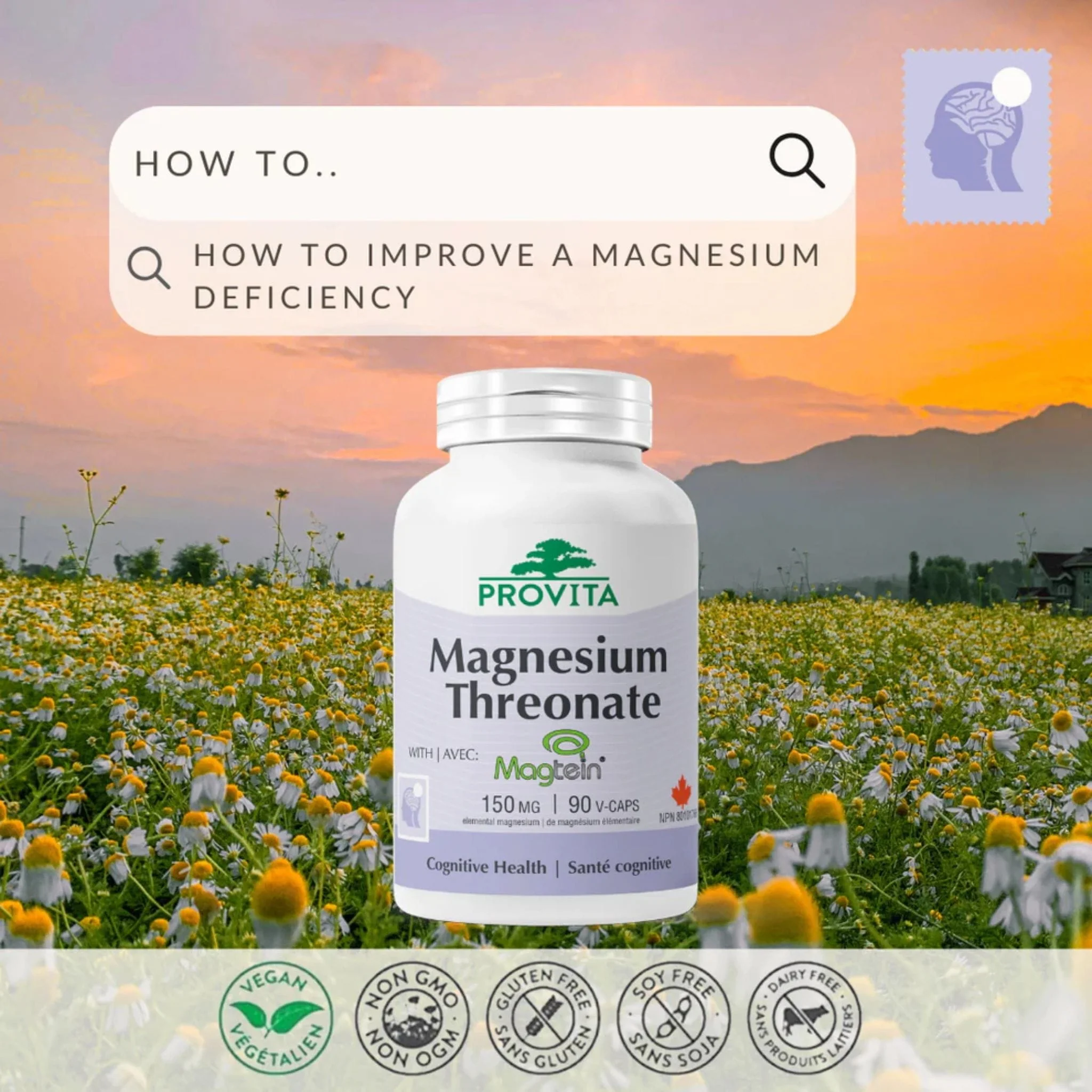 Provita Magnesium L-Threonate 50mg, 90 Capsules - Image 4