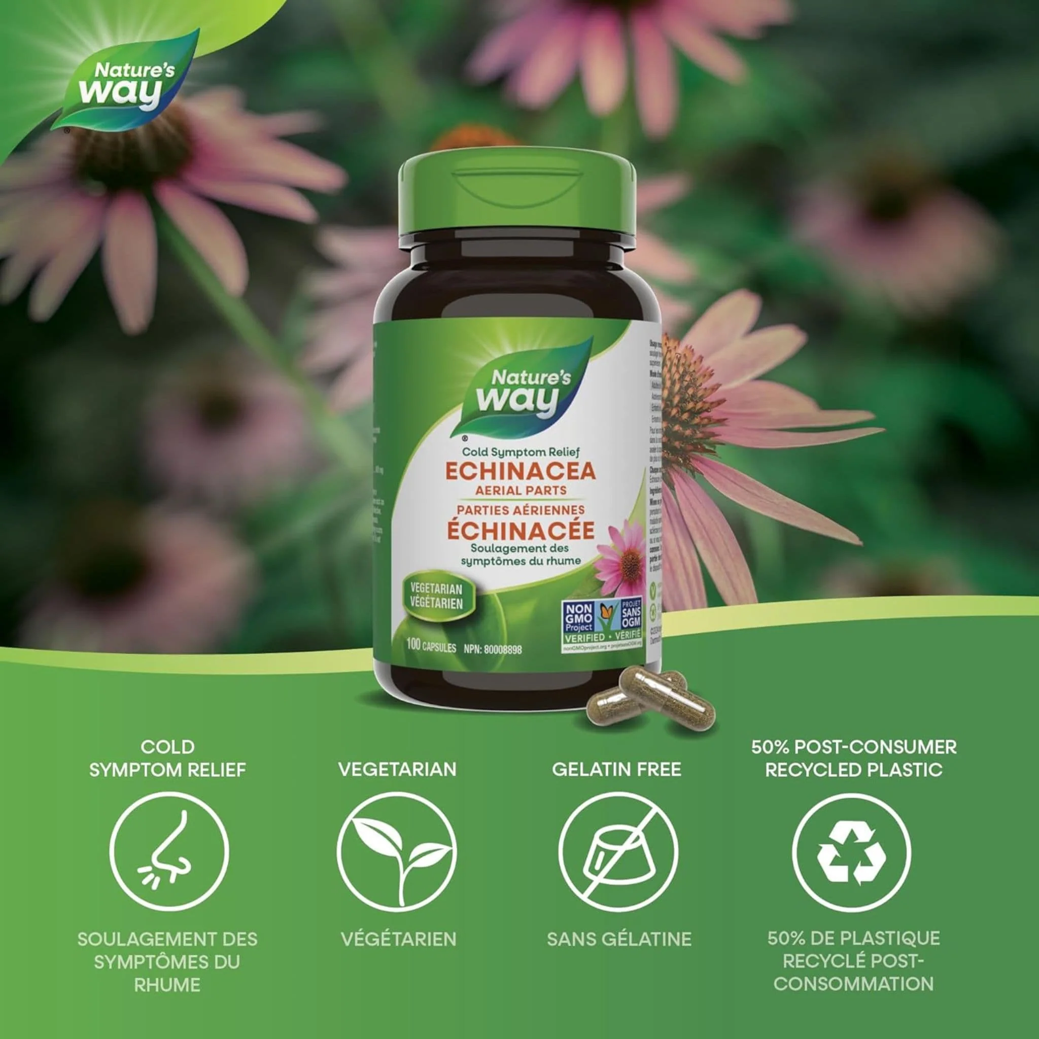 Nature's Way Echinacea - Image 10