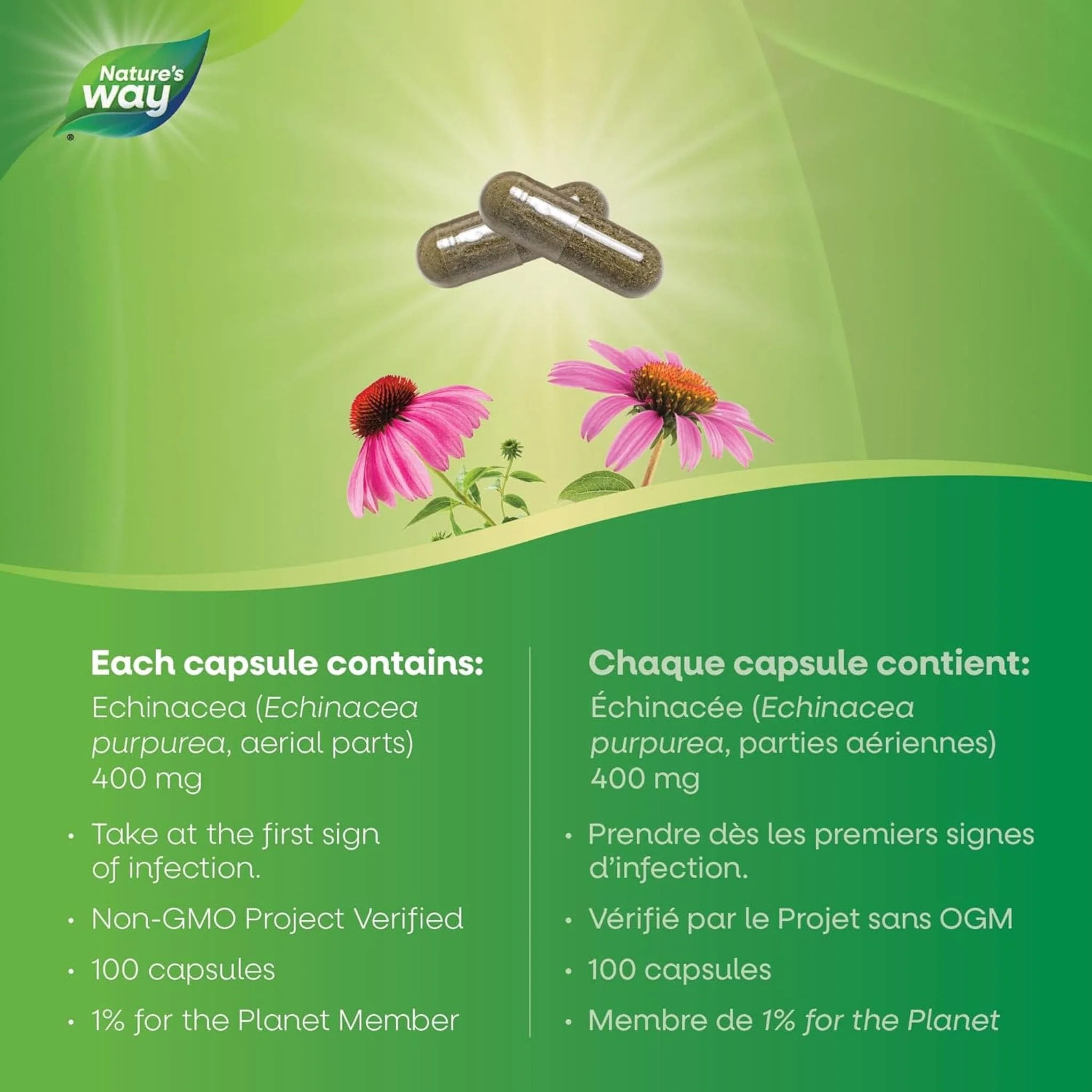 Nature's Way Echinacea - Image 12