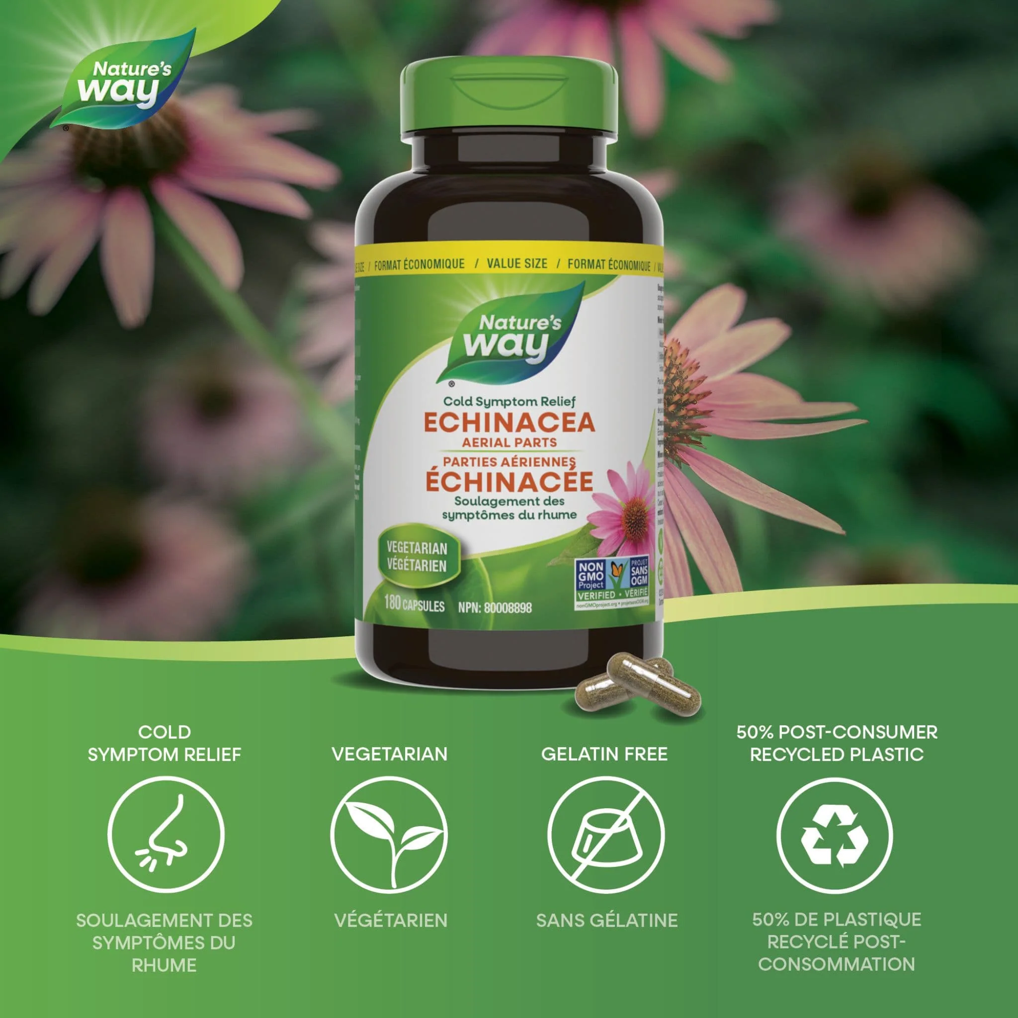 Nature's Way Echinacea - Image 3