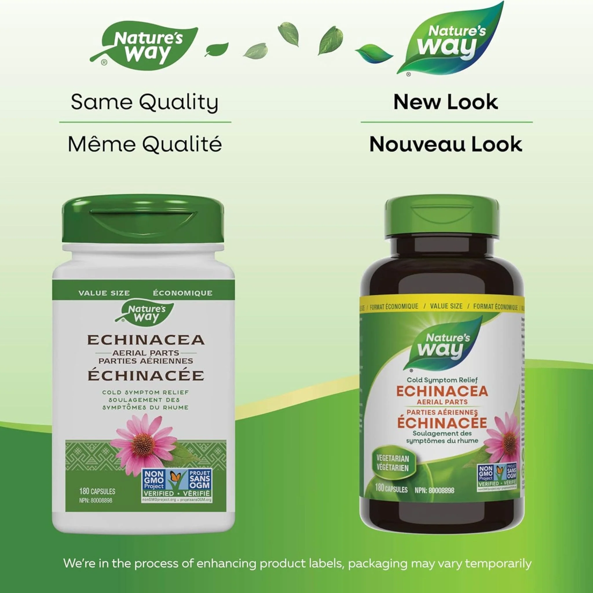 Nature's Way Echinacea - Image 7