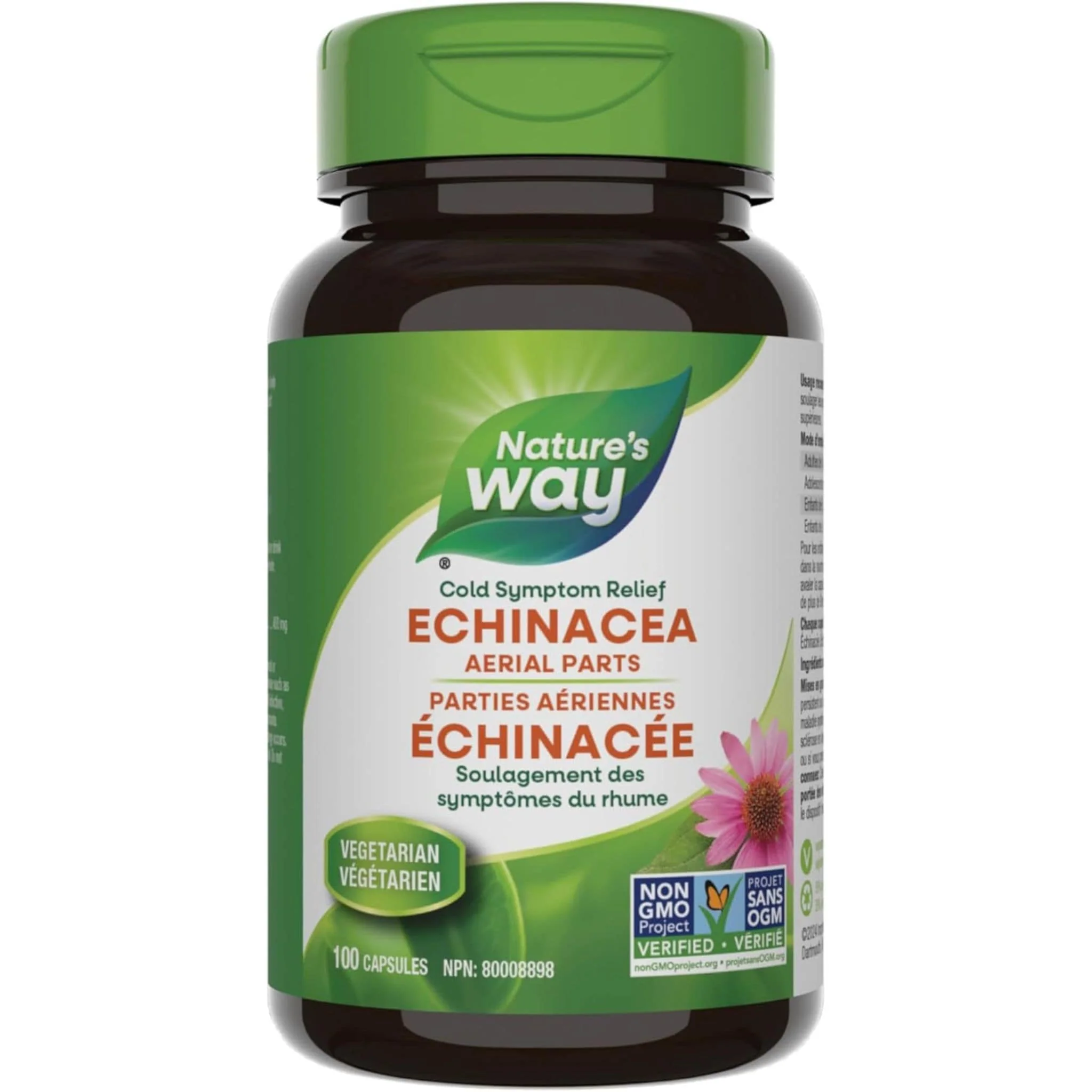 Nature's Way Echinacea - Image 8