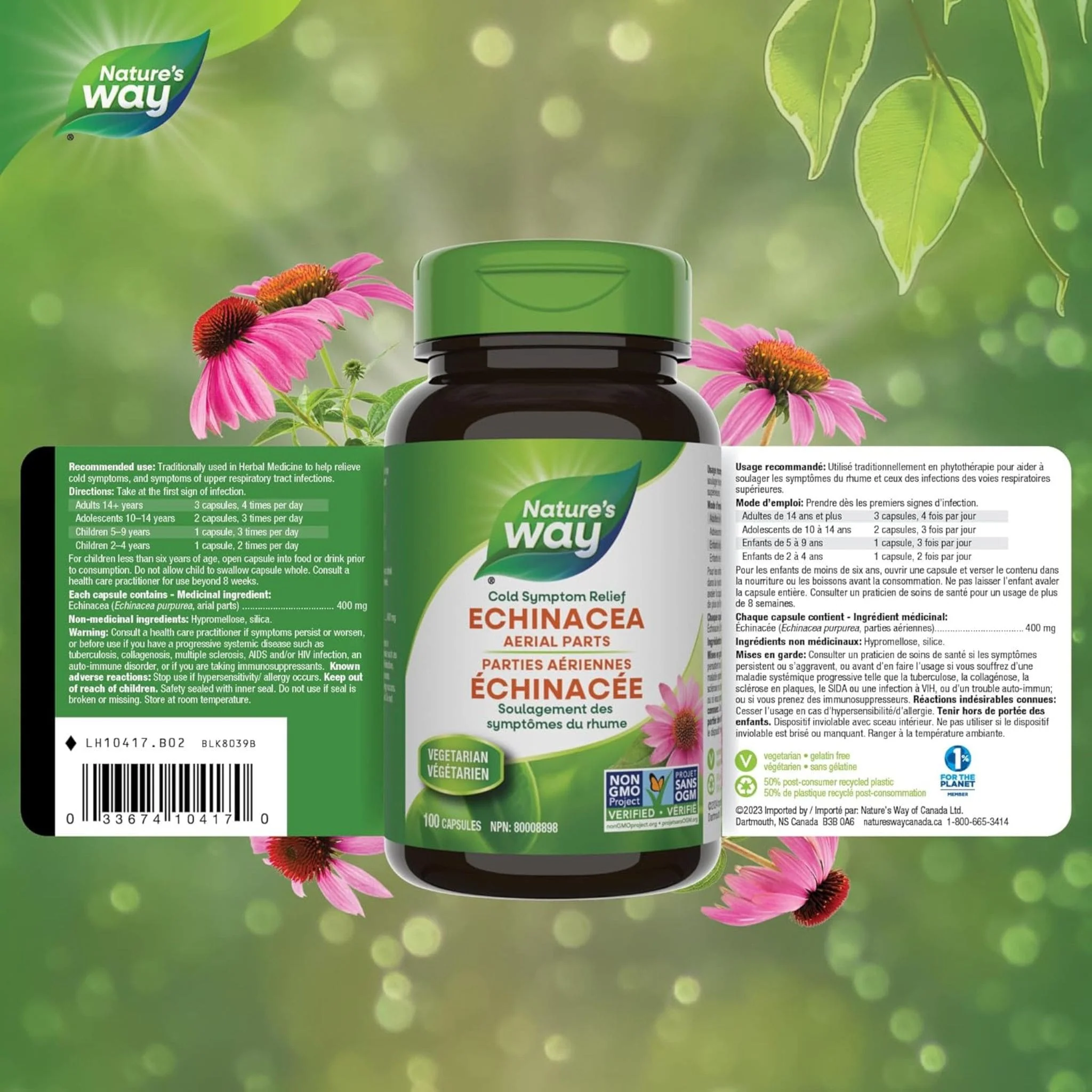 Nature's Way Echinacea - Image 9