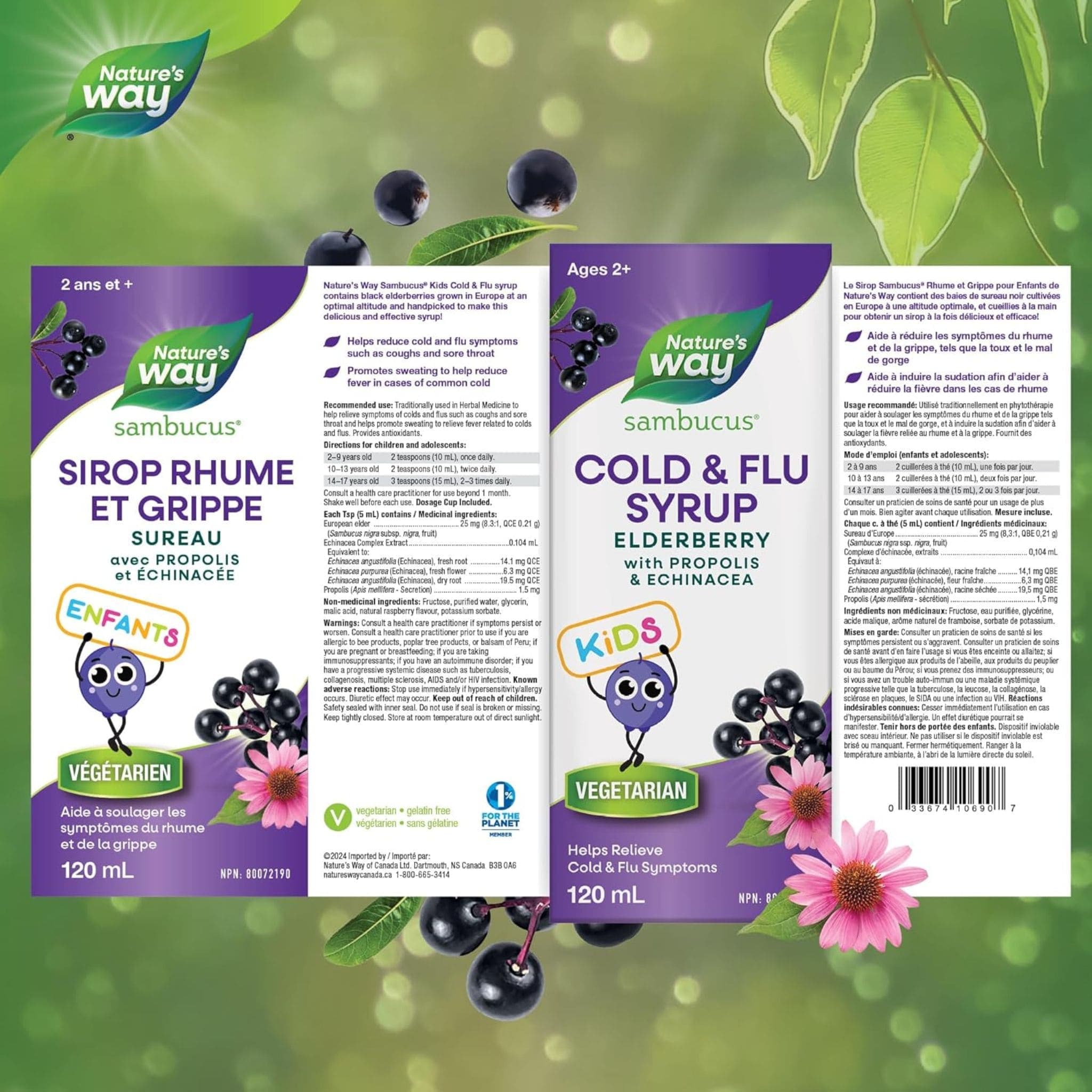 Nature's Way Kids Sambucus Elderberry Cold and Flu Care Syrup (with Echinacea & Propolis), 120ml - Image 2