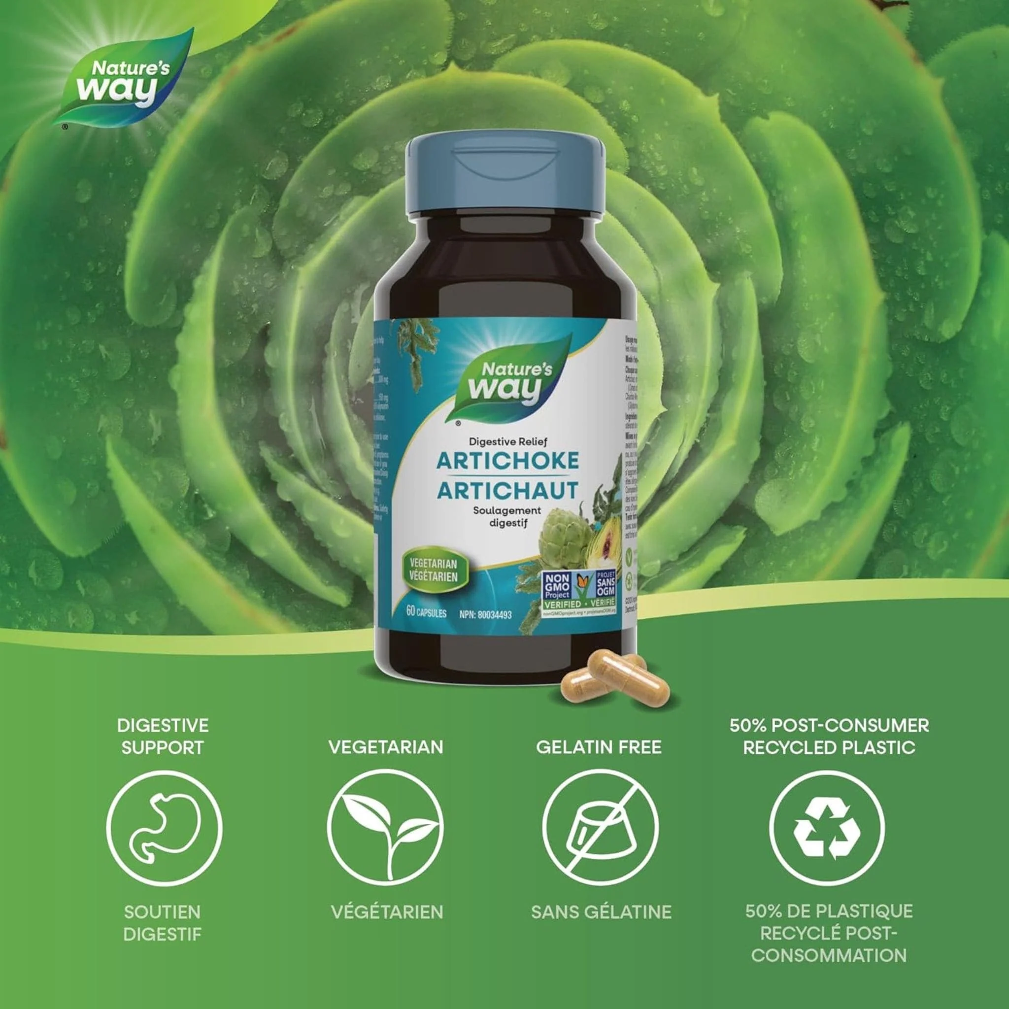 Nature's Way Artichoke Standardized, 60 Capsules - Image 3