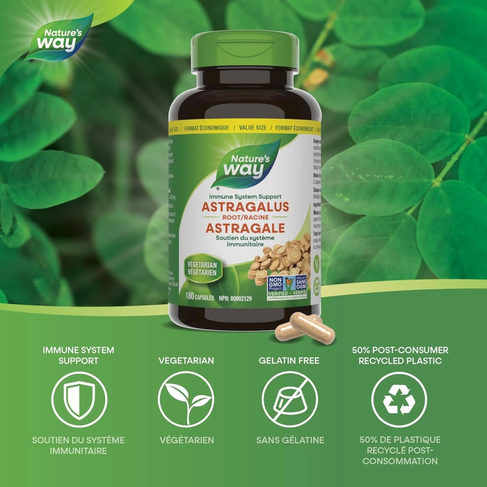 Nature's Way Astragalus Root - Image 10