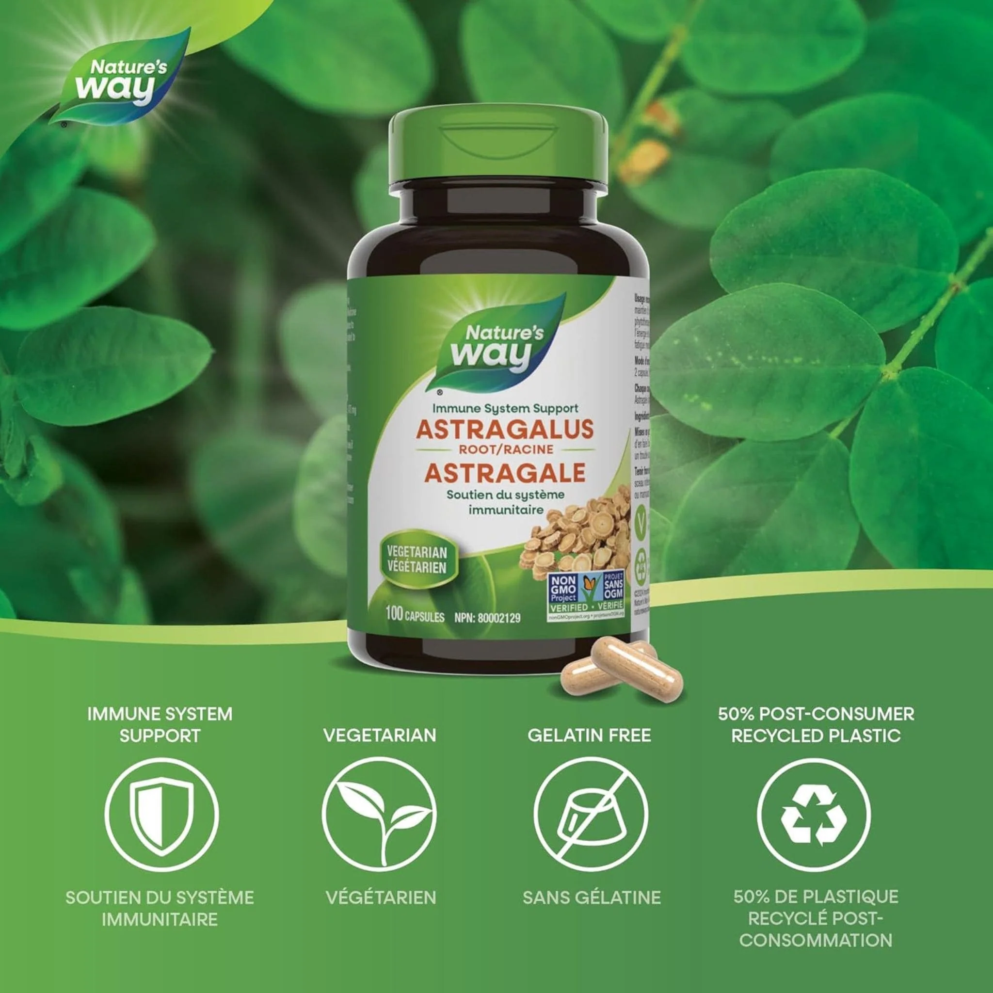 Nature's Way Astragalus Root - Image 3