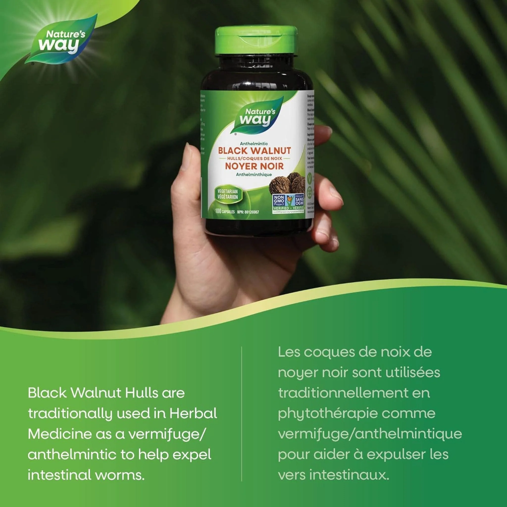 Nature's Way Black Walnut Hulls 250mg, 100 Capsules - Image 4
