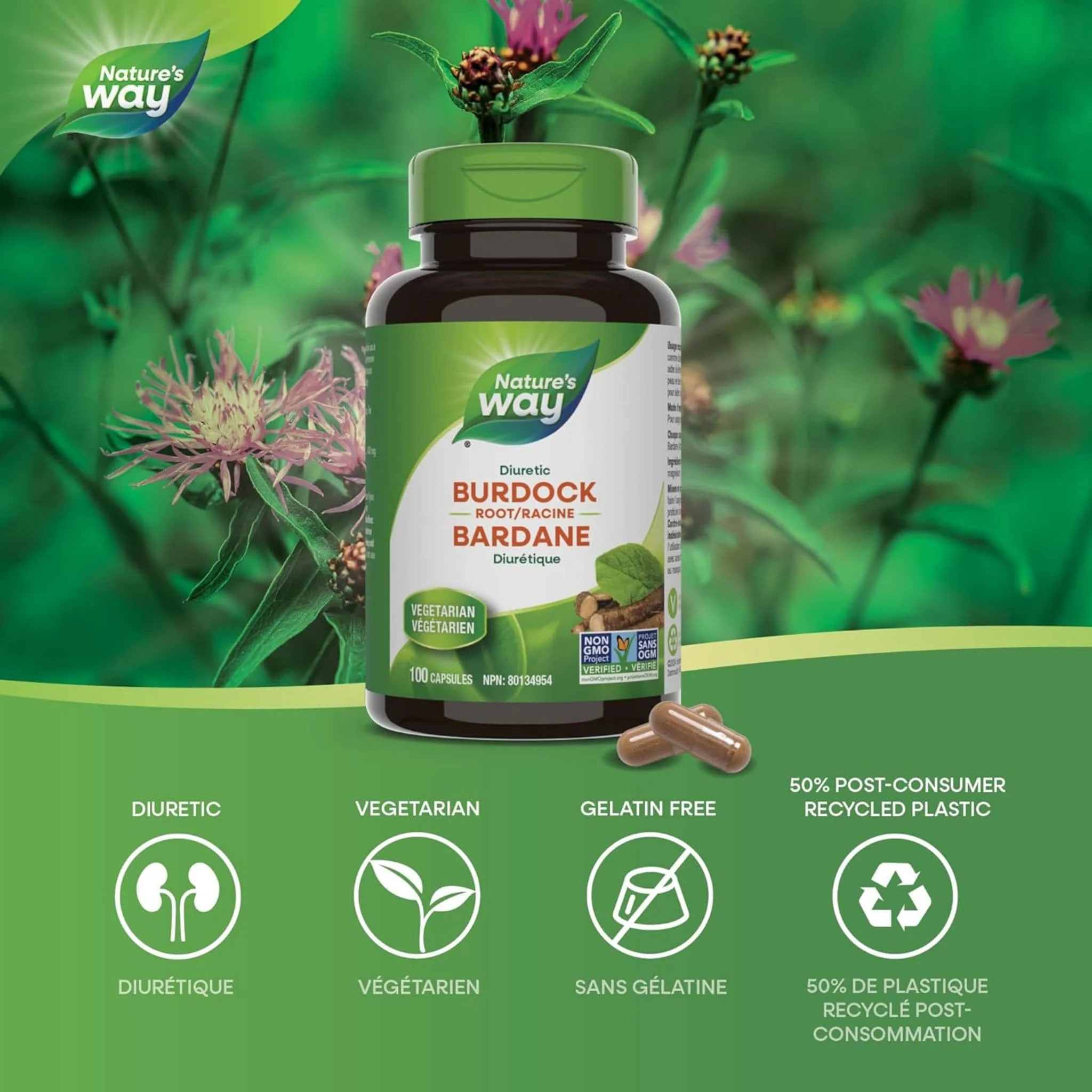 Nature's Way Burdock Root, 100 Vegetable Capsules - Image 3