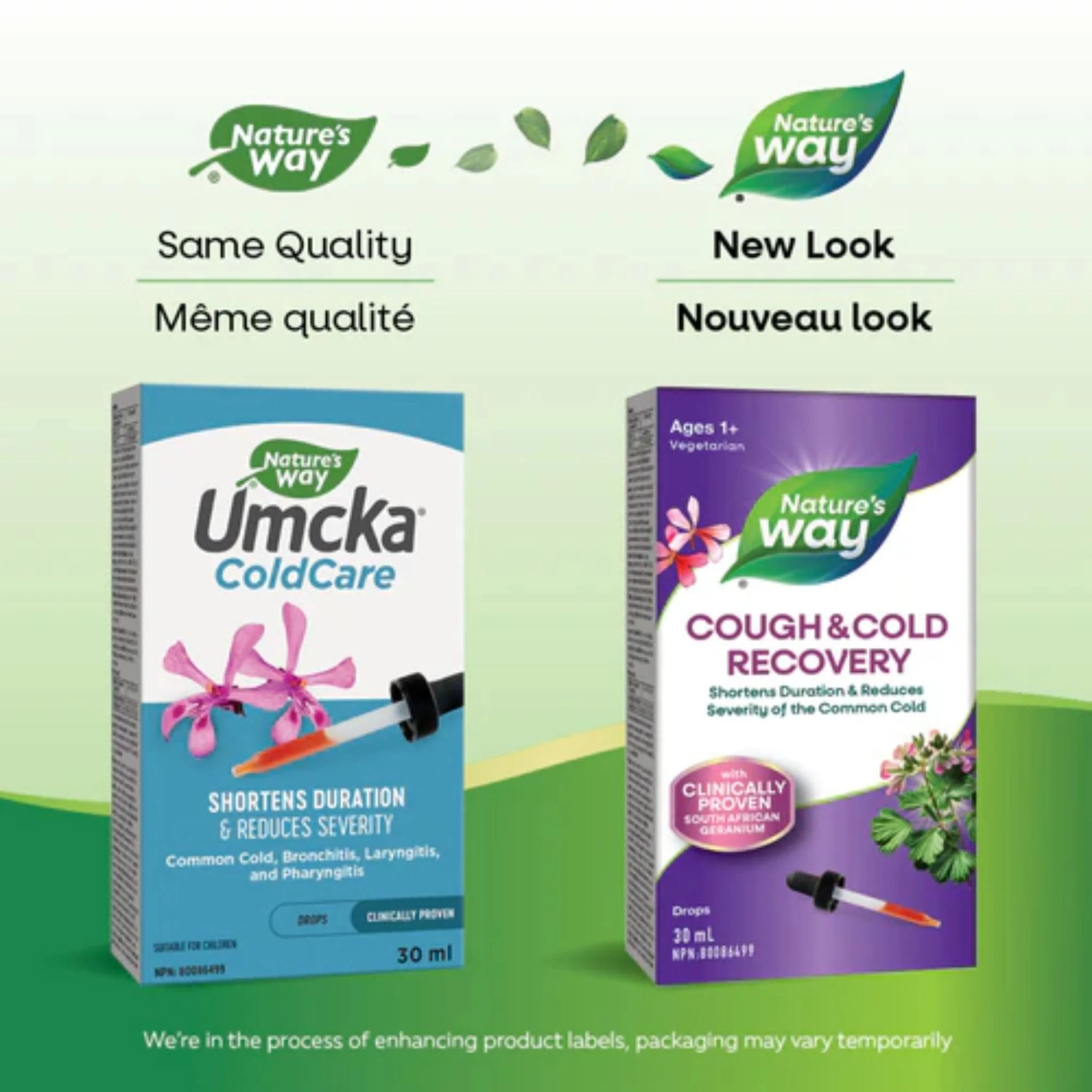 Nature's Way Cough and Cold Recovery Drops, Shortens Duration and Reduces Severity of the Common Cold, 30ml - Image 2