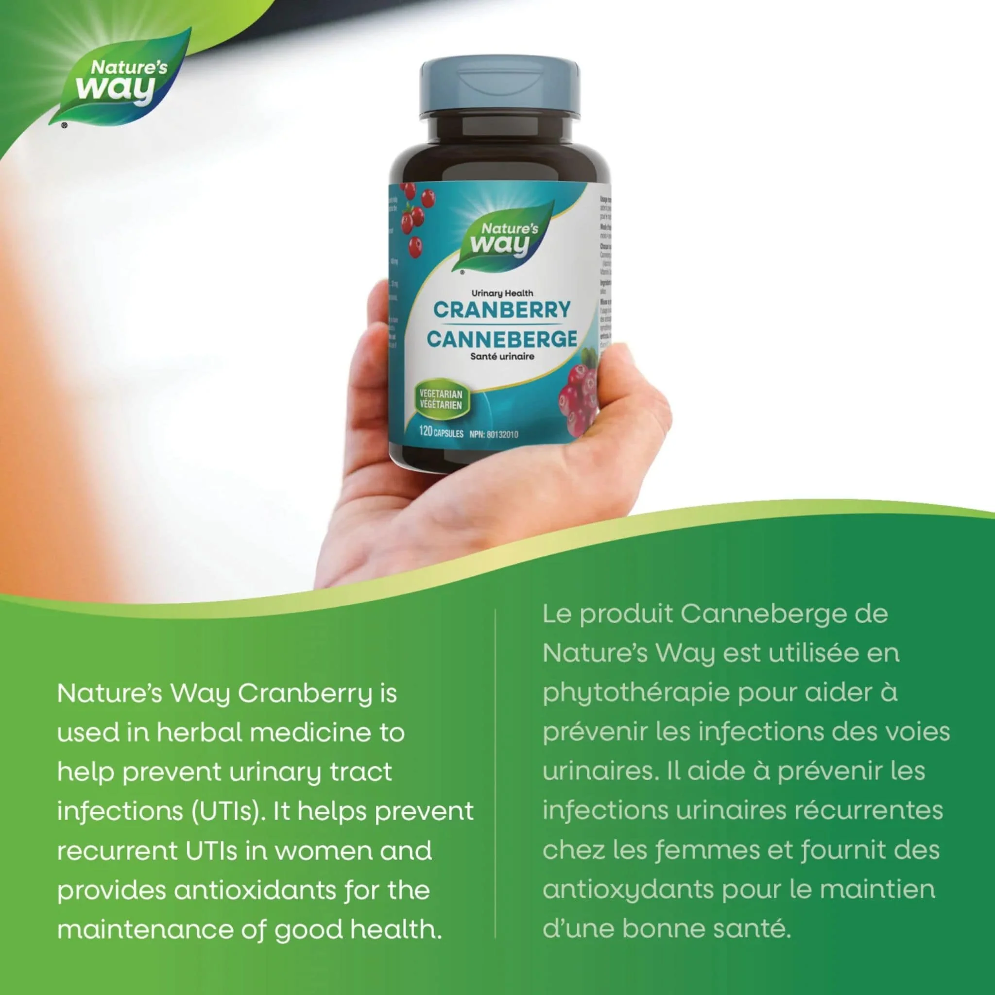 Nature's Way Cranberry Extract Capsules, Supports Urinary Health and Helps Prevent Recurrent UTIs, 120 Vegetable Capsules - Image 2