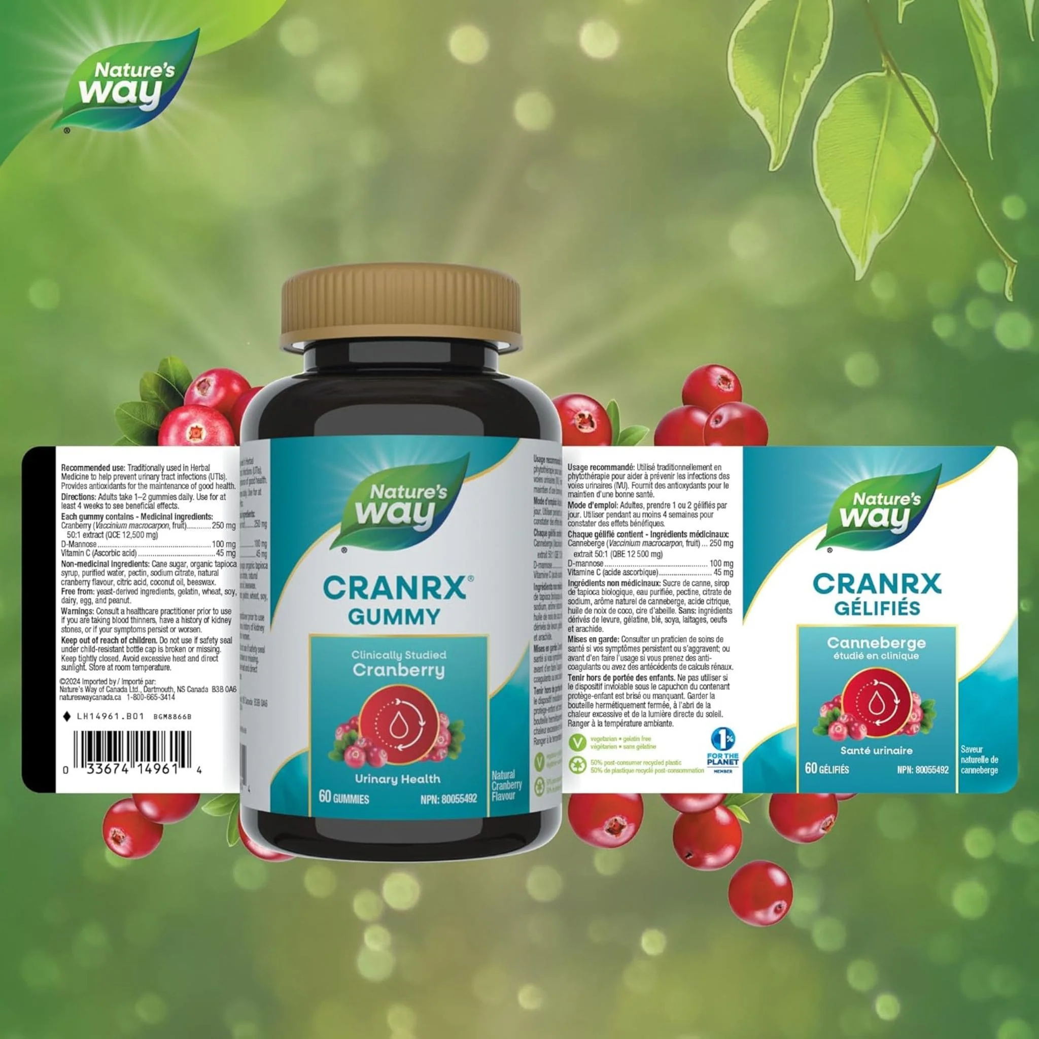 Nature's Way CranRX Cranberry Gummies, Cranberry 250mg To Help Prevent Recurrent Urinary Tract Infections (UTIs), 60 Gummies - Image 2