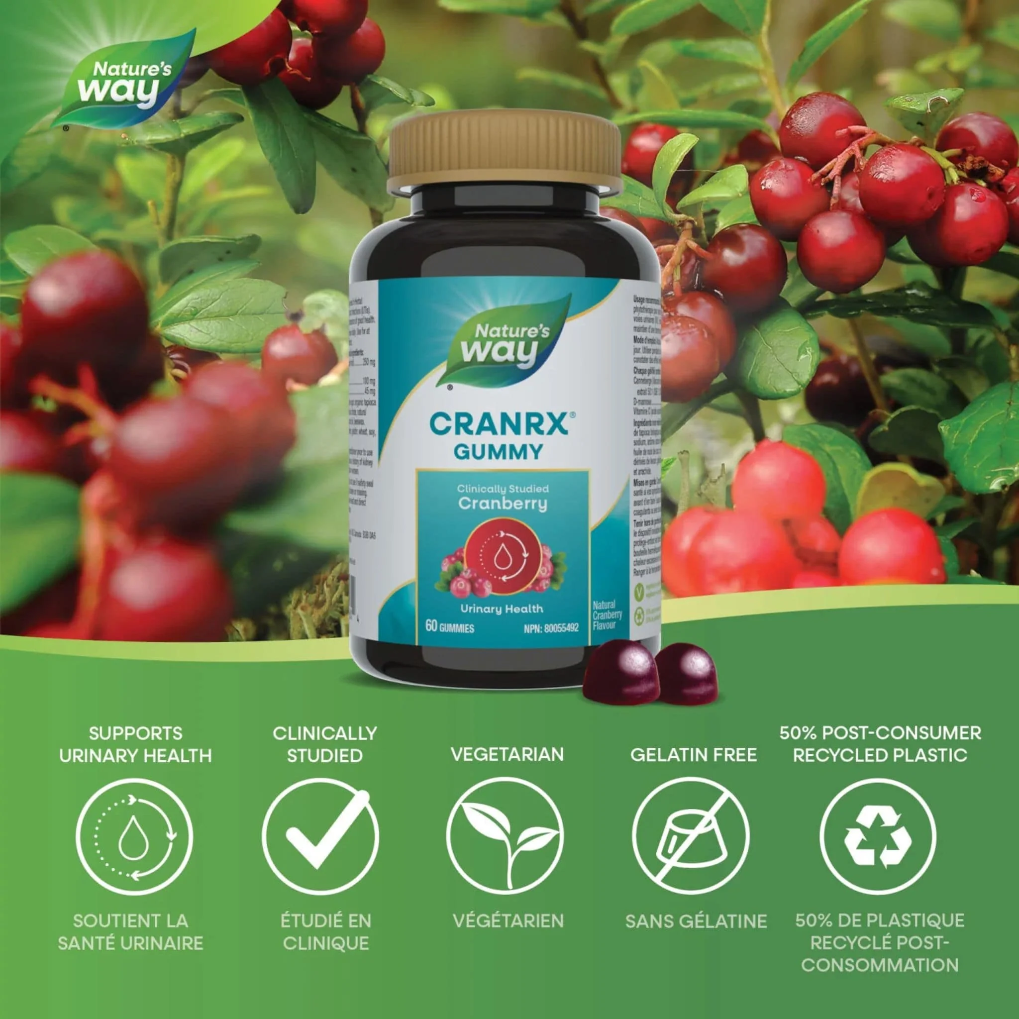 Nature's Way CranRX Cranberry Gummies, Cranberry 250mg To Help Prevent Recurrent Urinary Tract Infections (UTIs), 60 Gummies - Image 3