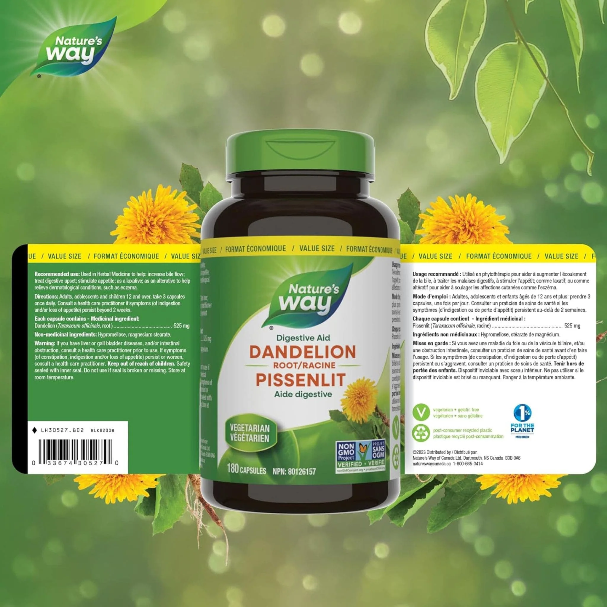 Nature's Way Dandelion Root - Image 9