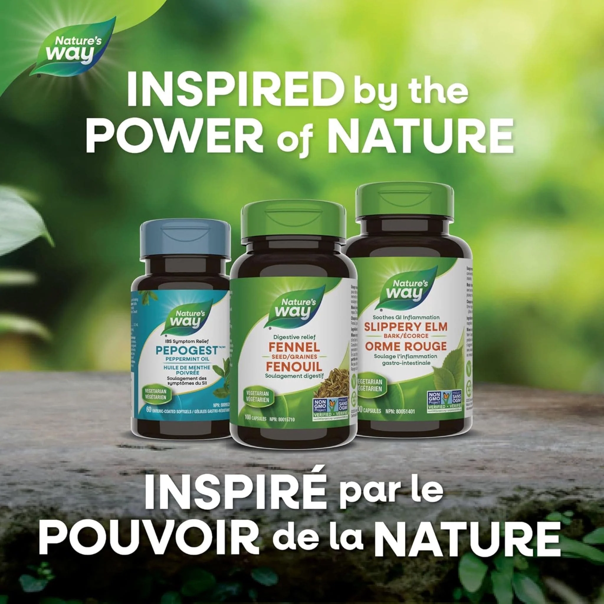 Nature's Way Fennel Seed, 100 Vegetable Capsules - Image 8