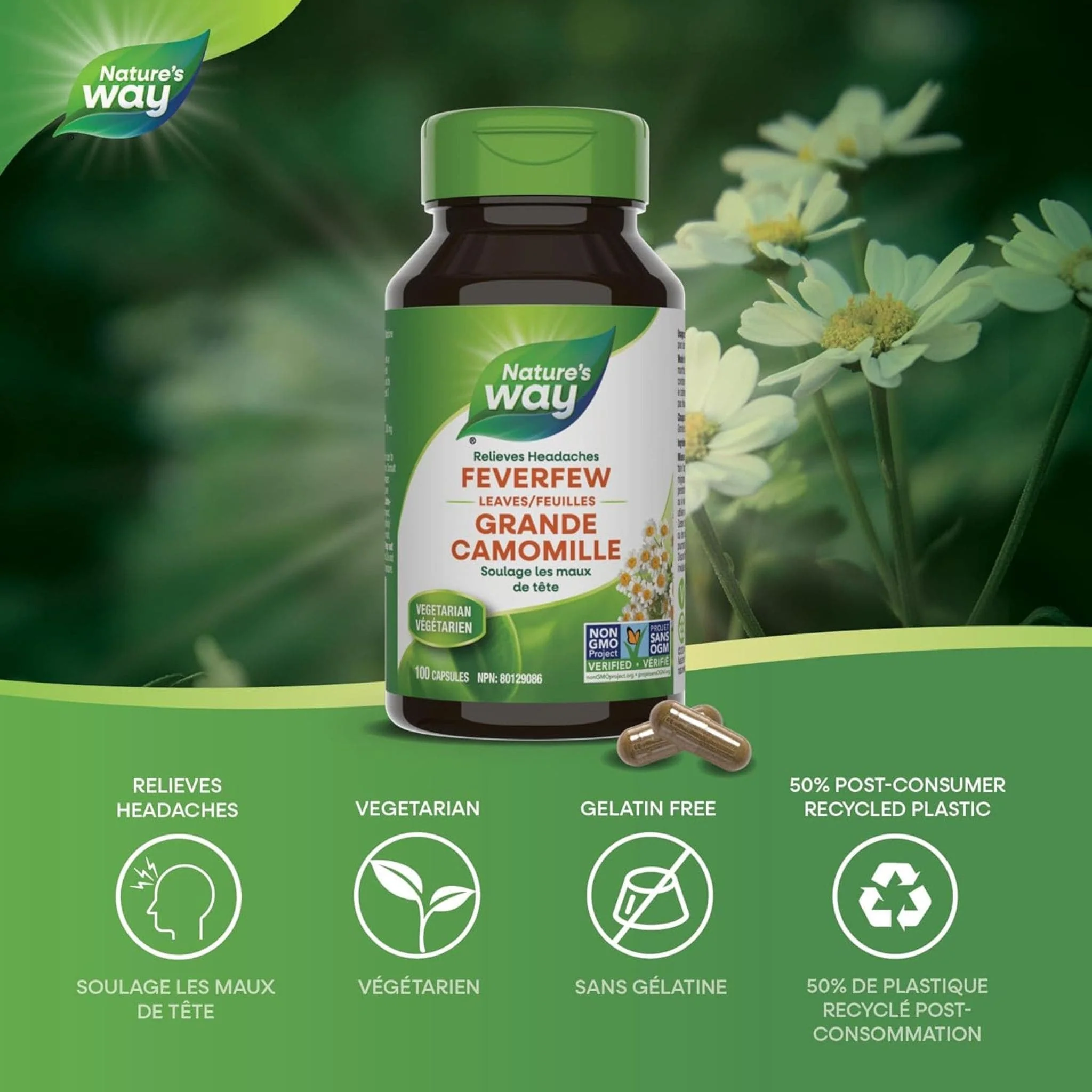 Nature's Way Feverfew Leaves 380mg, 100 Vegetable Capsules - Image 3