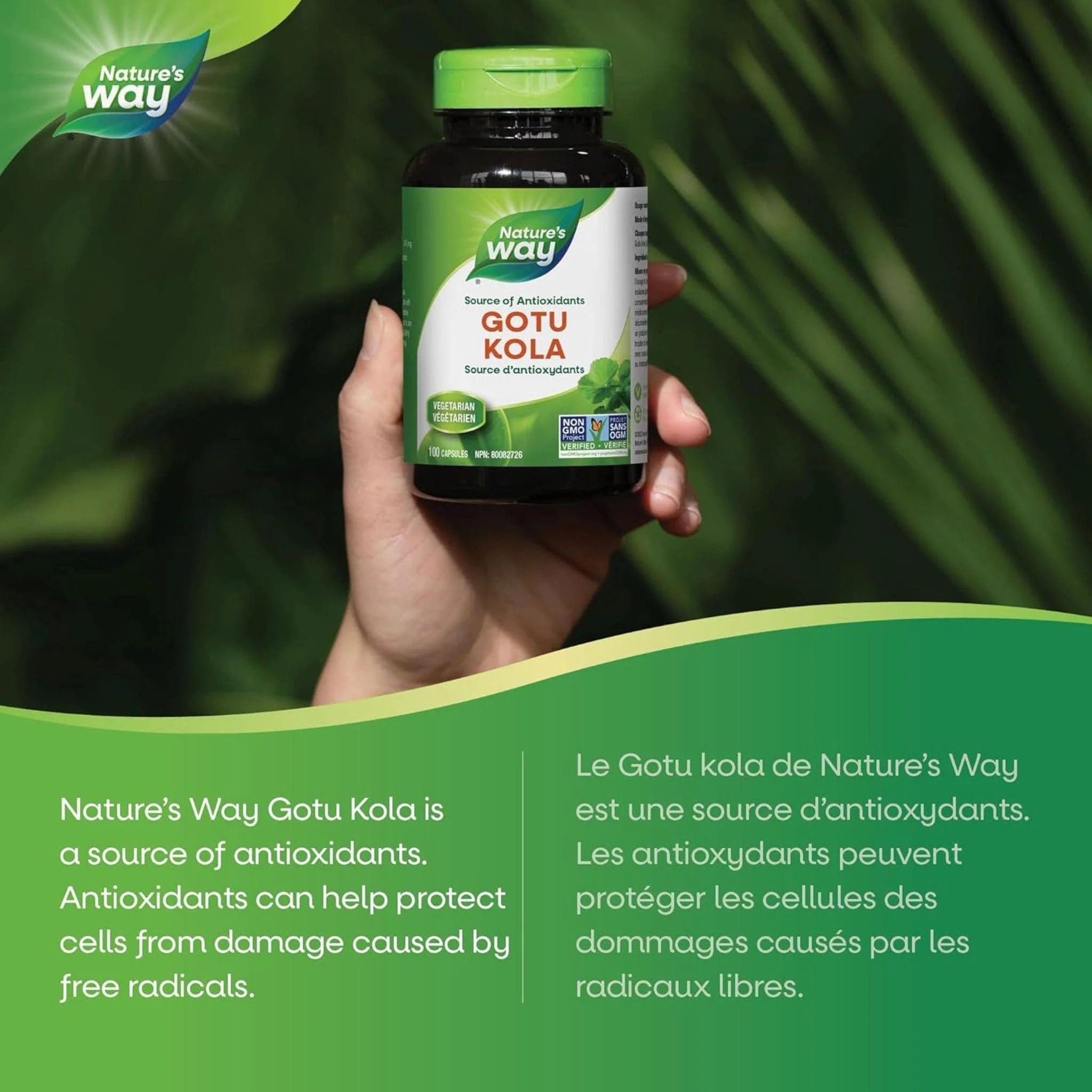 Nature's Way Gotu Kola 475mg Capsules - Image 4