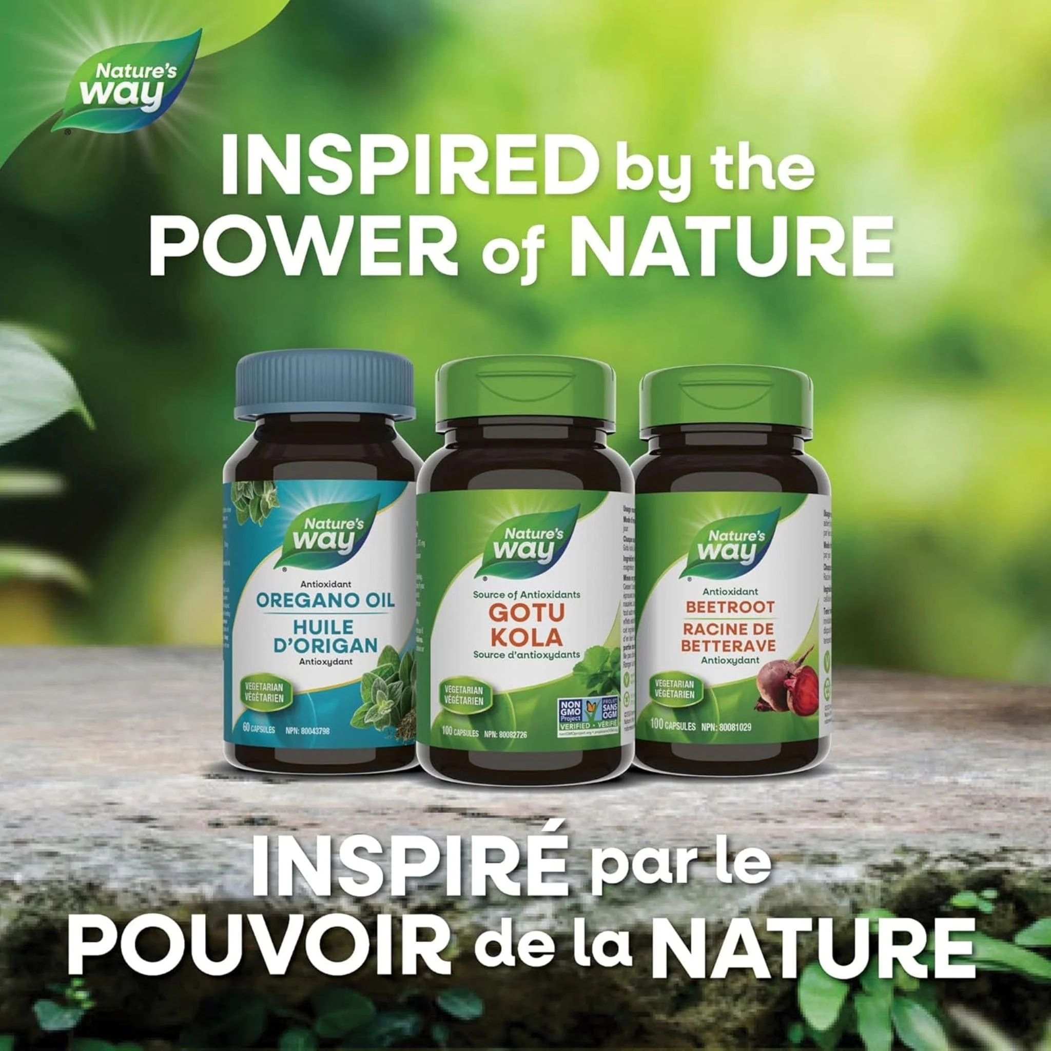 Nature's Way Gotu Kola 475mg Capsules - Image 7