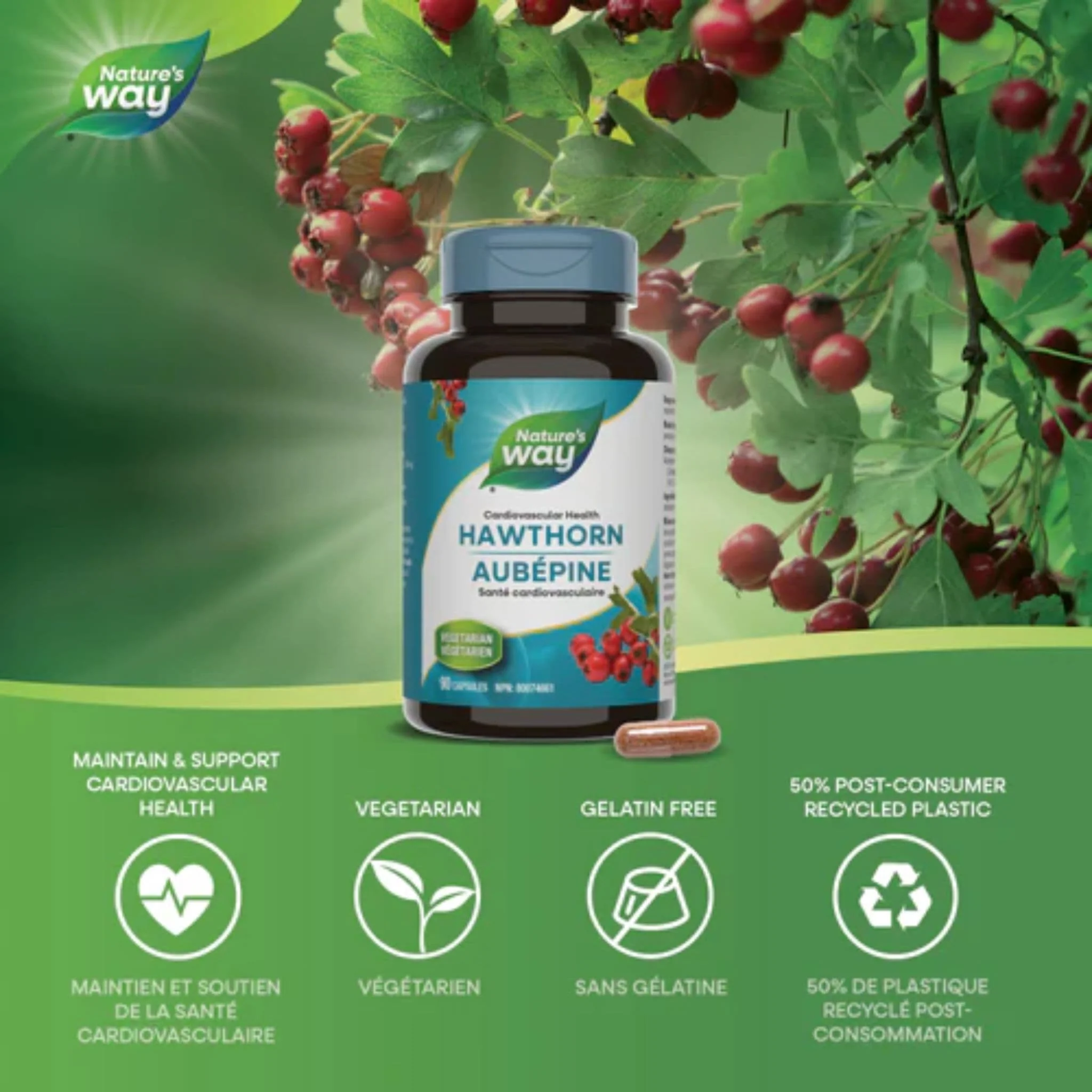 Nature's Way Hawthorn Standardized Extract, 90 Capsules - Image 2